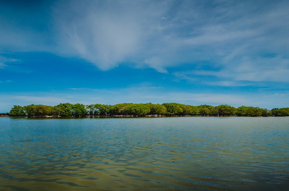 a large body of water surrounded by trees