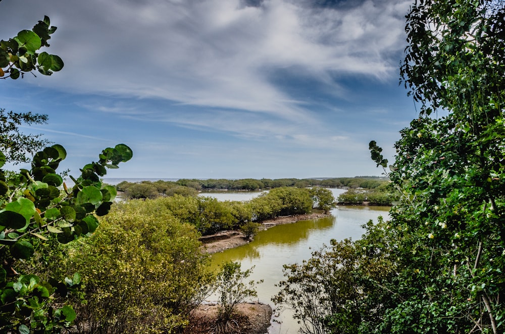 a river surrounded by trees and a blue sky