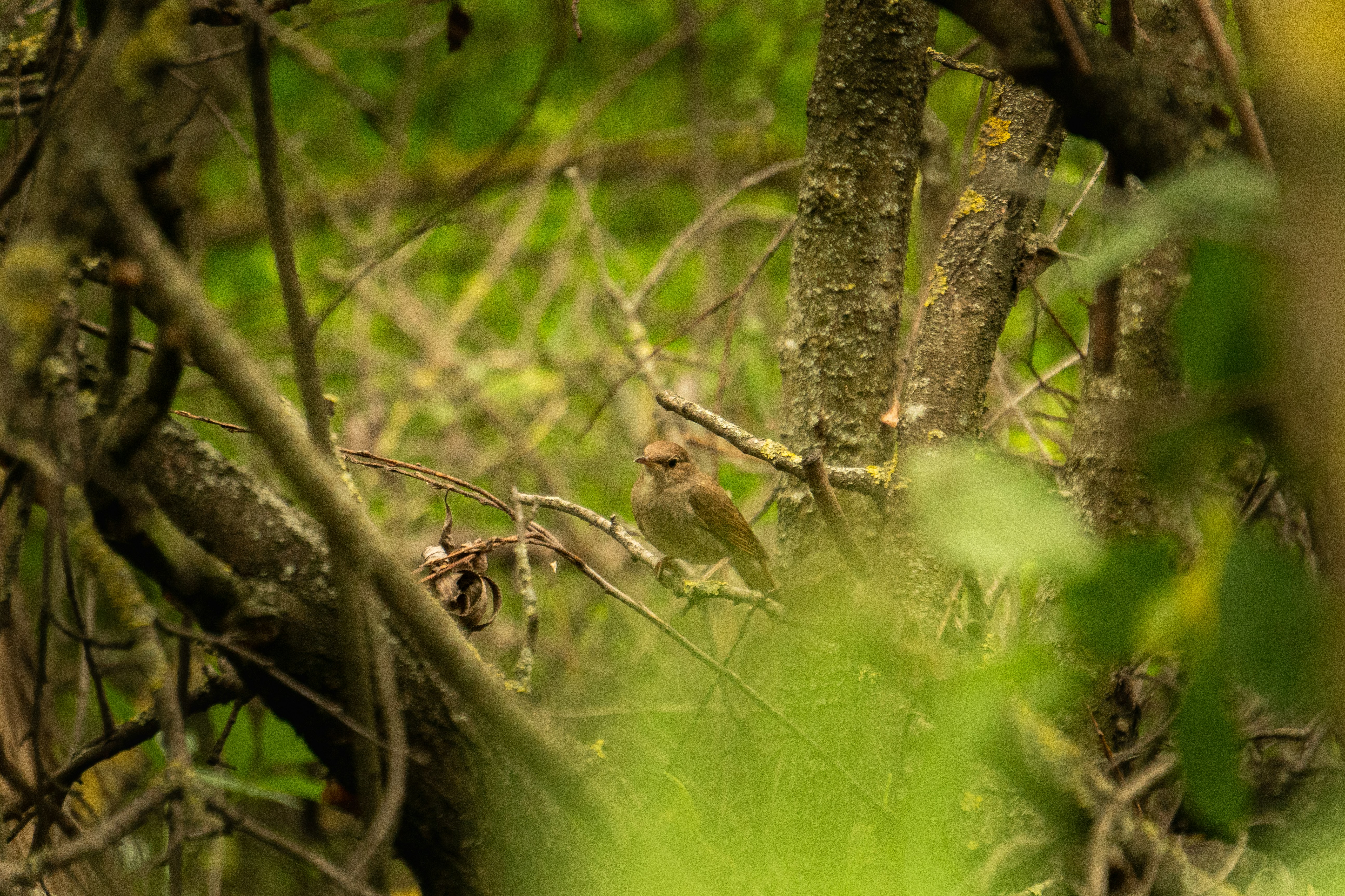 Photo by angrygrandmama