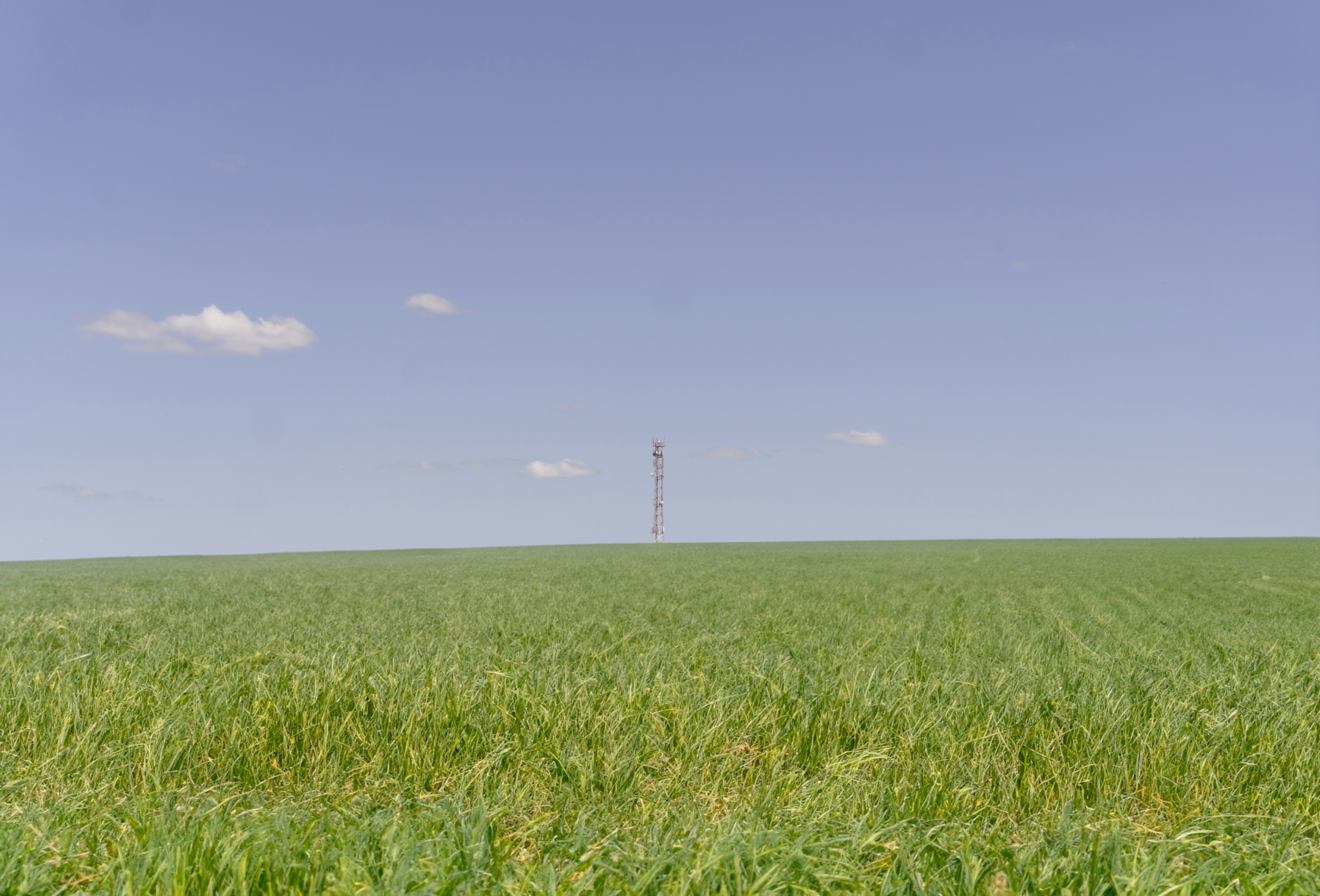 Photo by angrygrandmama