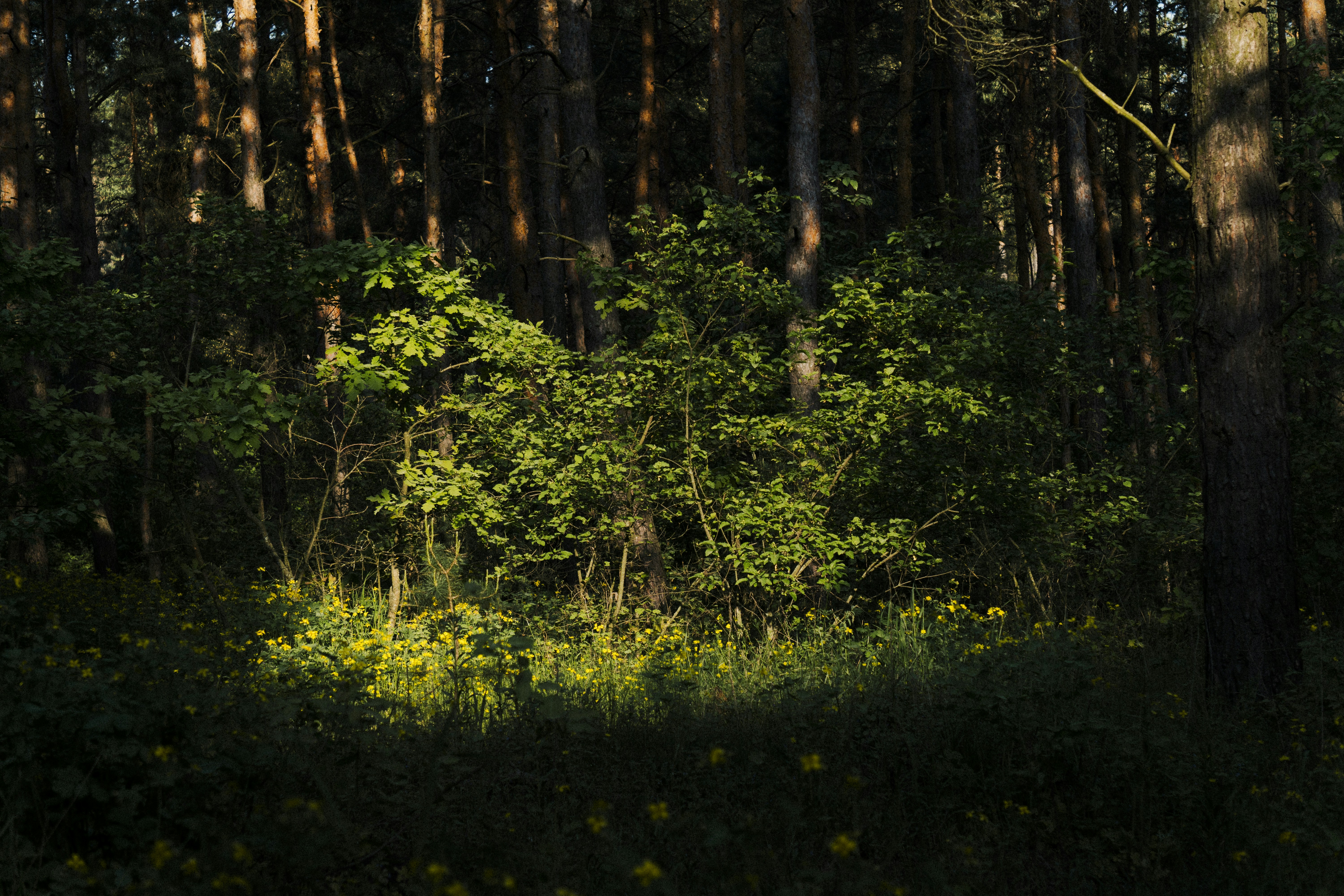 Photo by angrygrandmama