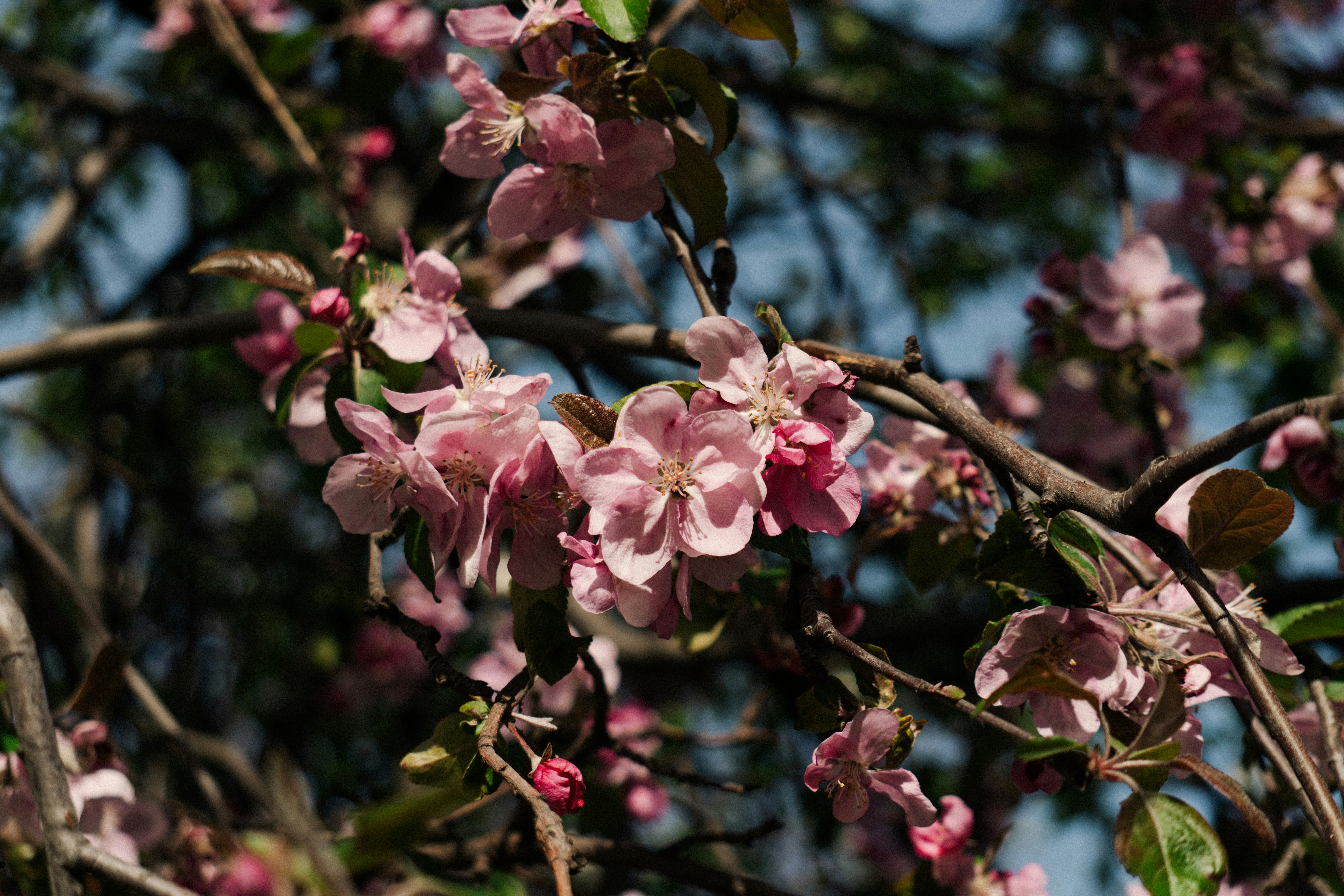 Photo by angrygrandmama