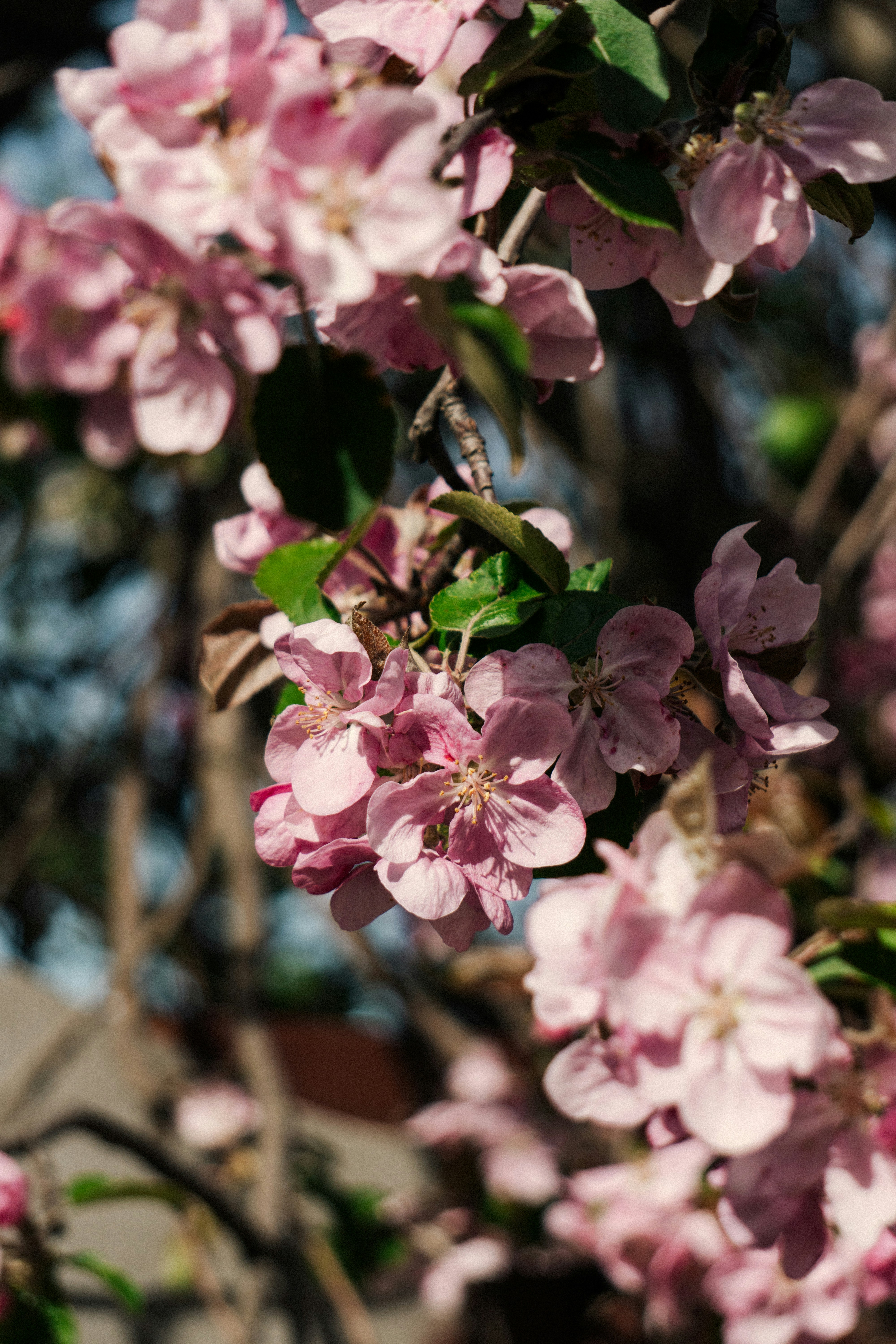 Photo by angrygrandmama