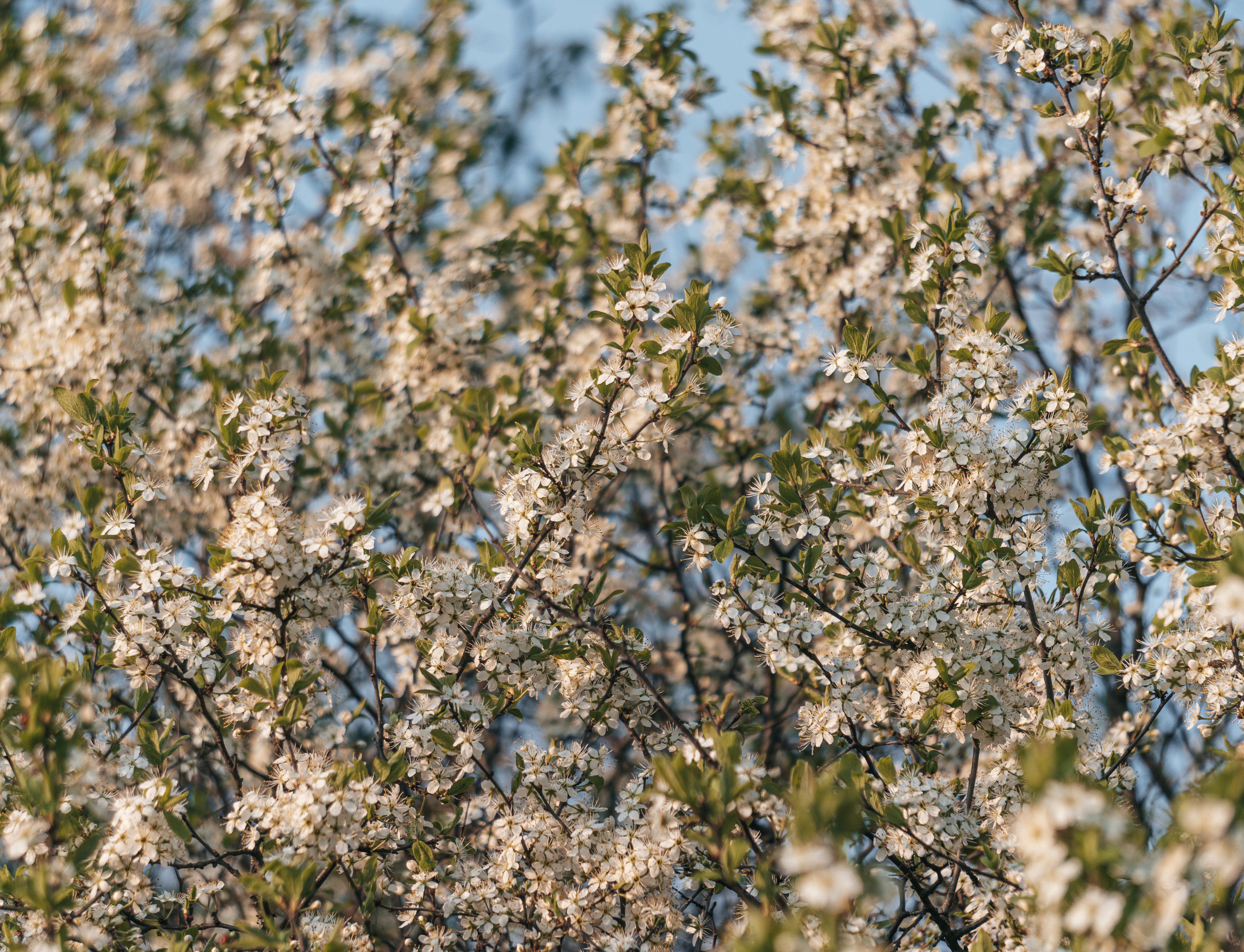 Photo by angrygrandmama