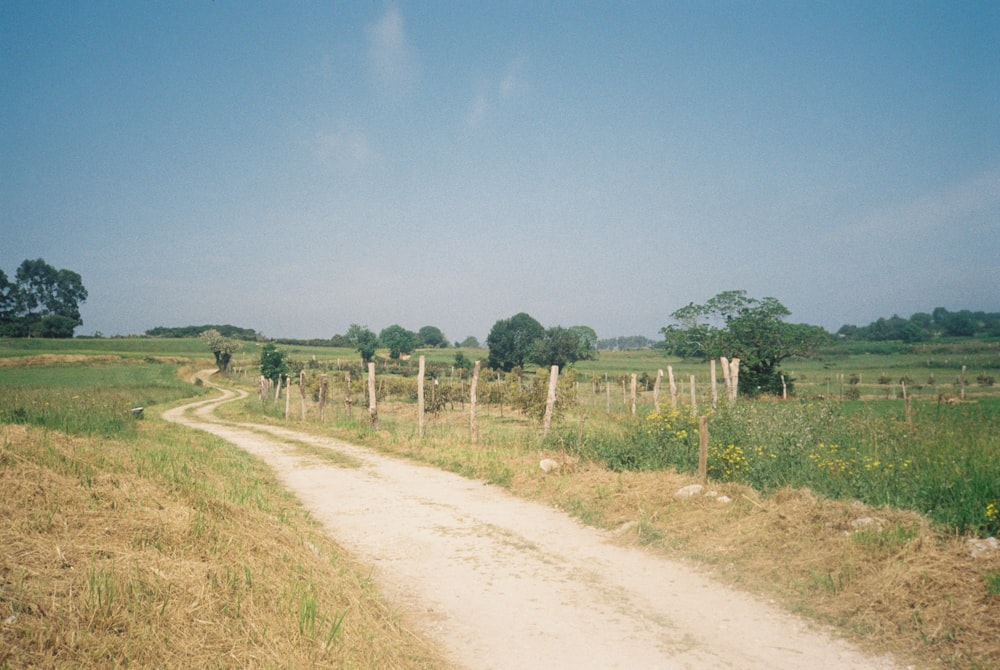 a dirt road in the middle of a grassy field