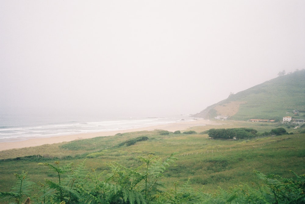 a foggy day at the beach with a grassy hill in the background