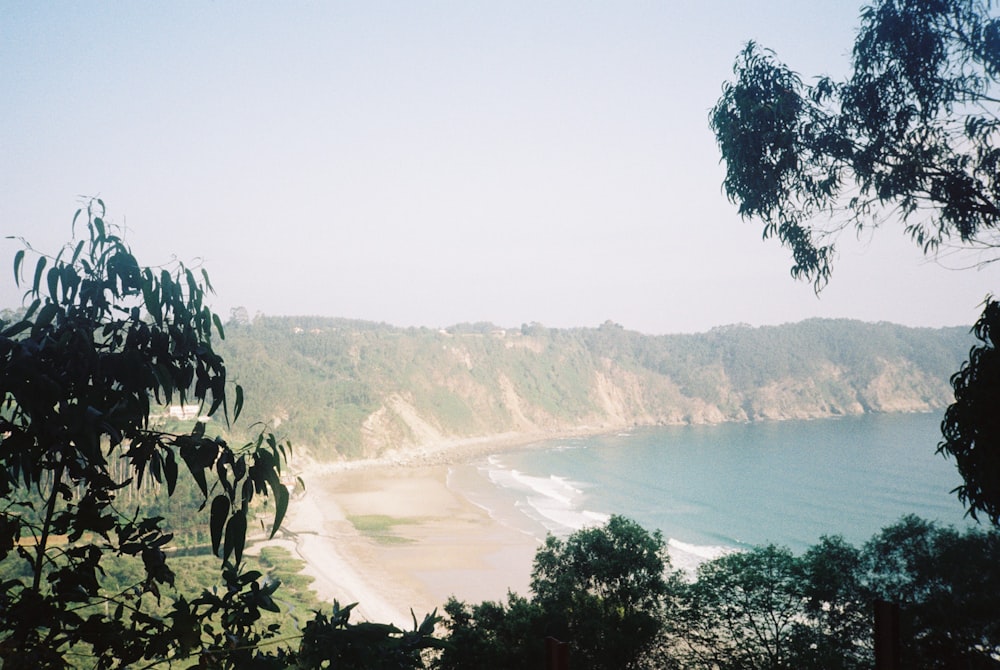 a view of a beach through some trees