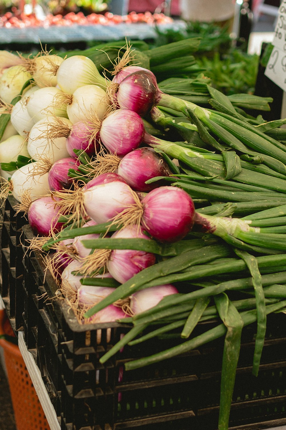 a bunch of onions are on display at a market