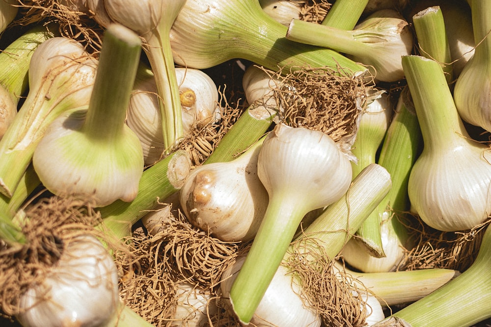 a pile of garlic and garlic bulbs on a table