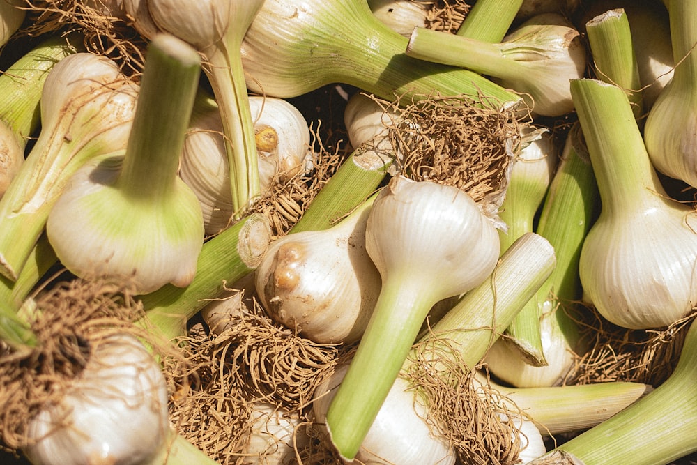 un tas d’ail et de bulbes d’ail sur une table