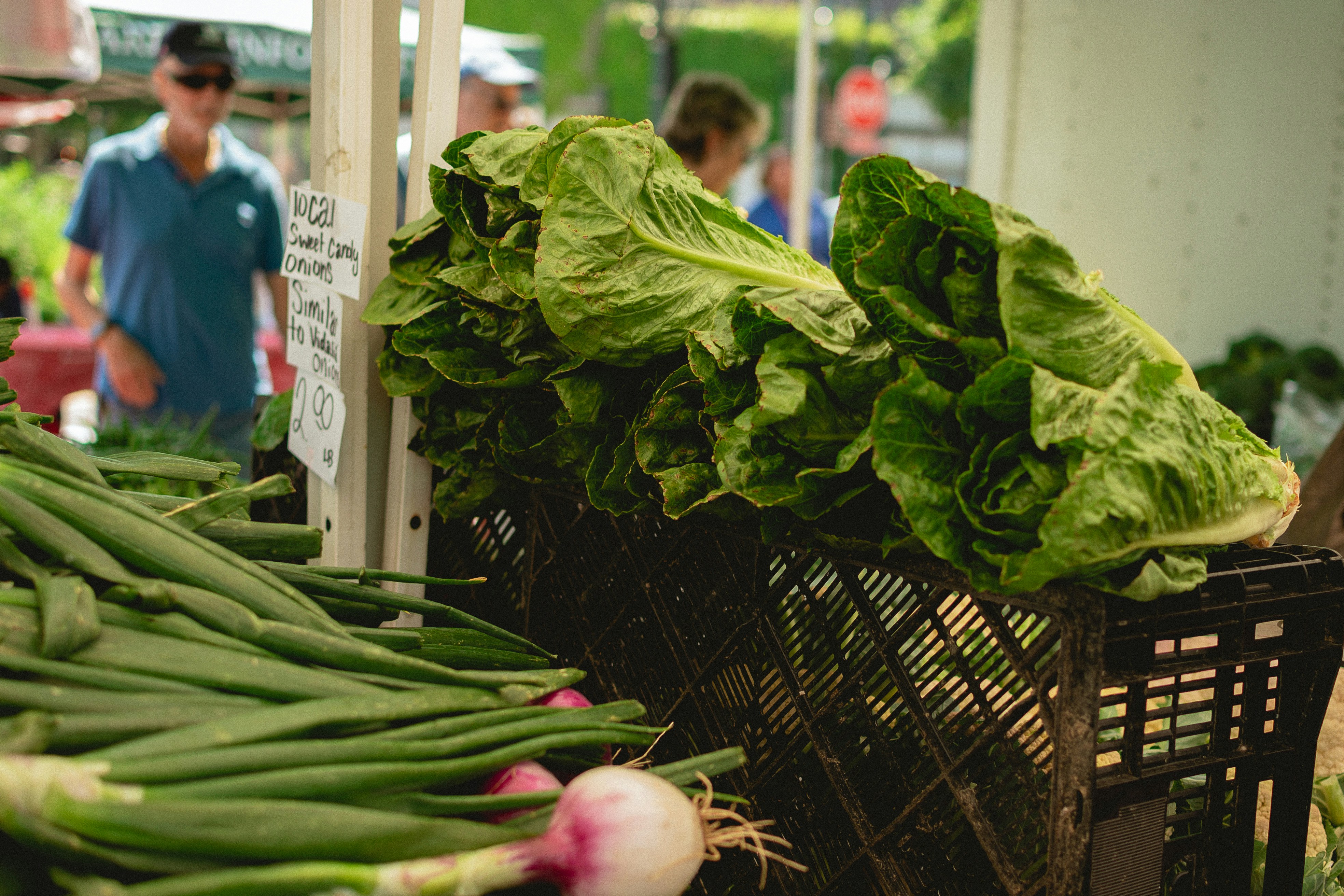 Why Your Tomato Tastes Different in Vermont Than in California: The Terroir of Vegetables