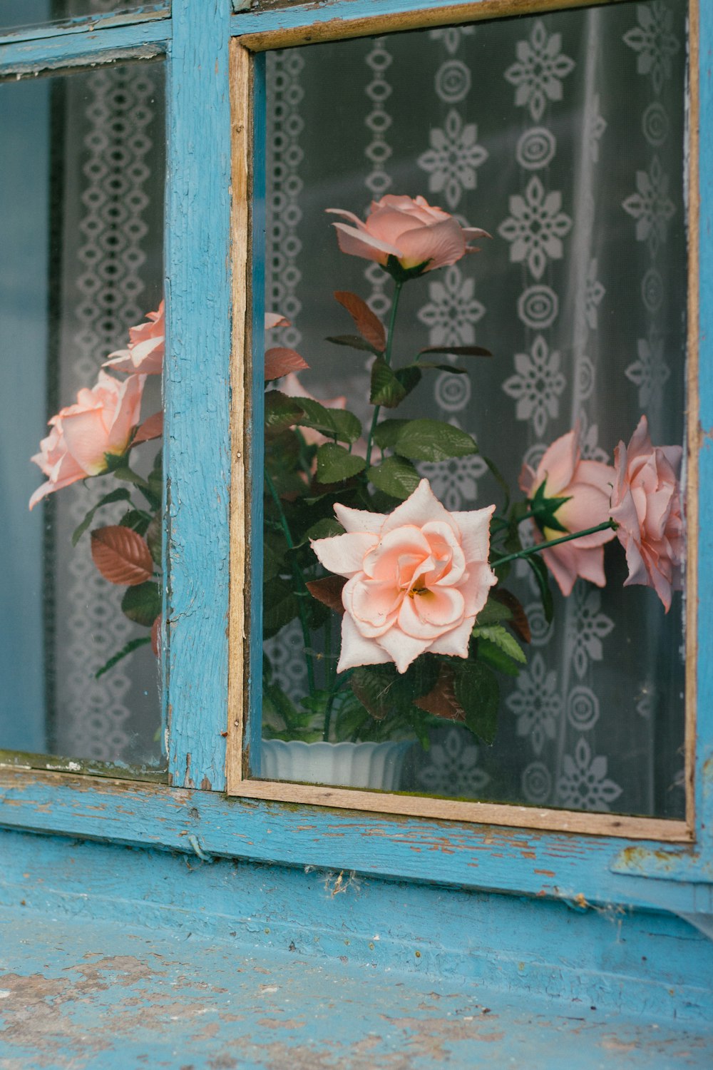a vase of pink roses sitting in a window sill