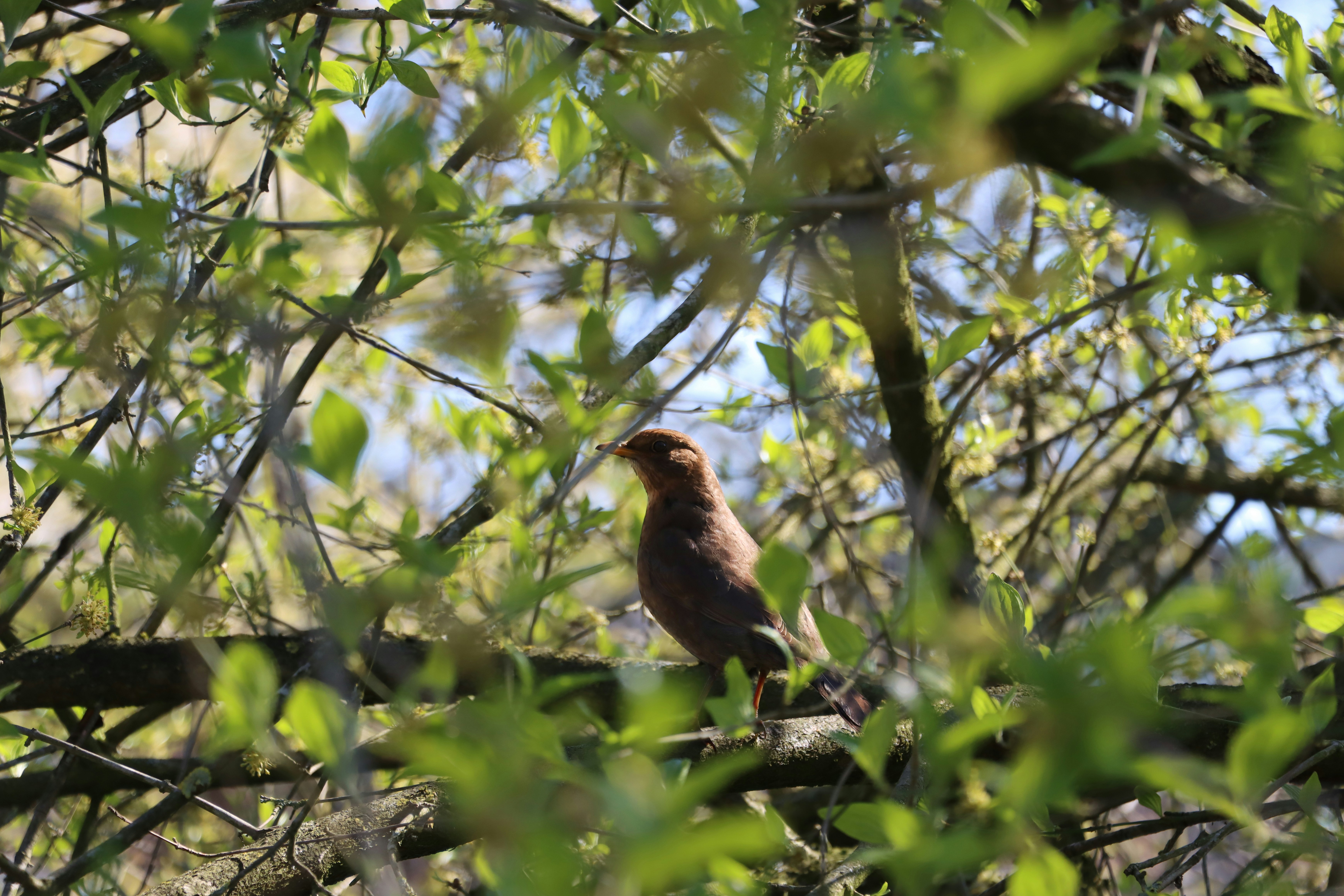 Photo by marissadekogel