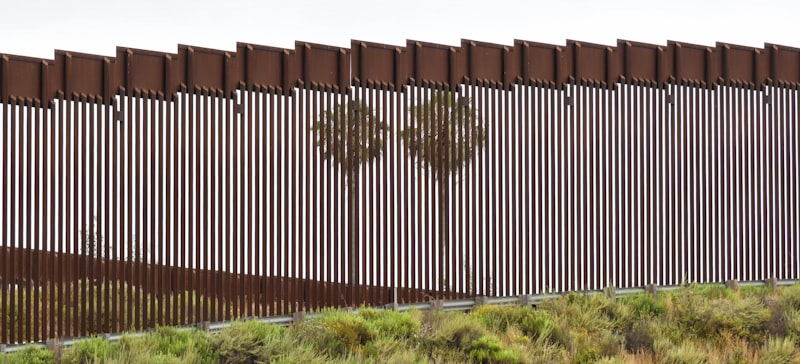 US-Mexico border wall fence with palm trees visible behind