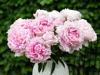 A bright bouquet featuring soft pink peonies and white ranunculus arranged in a rustic vase.