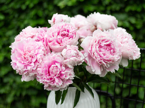 A bright bouquet featuring soft pink peonies and white ranunculus arranged in a rustic vase.