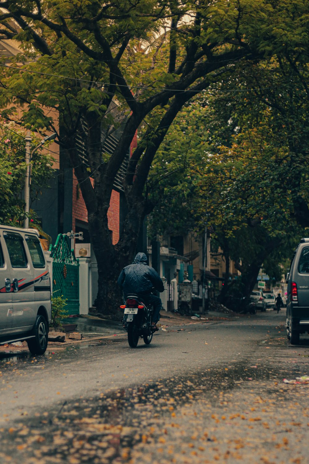 a man riding a motorcycle down a tree lined street