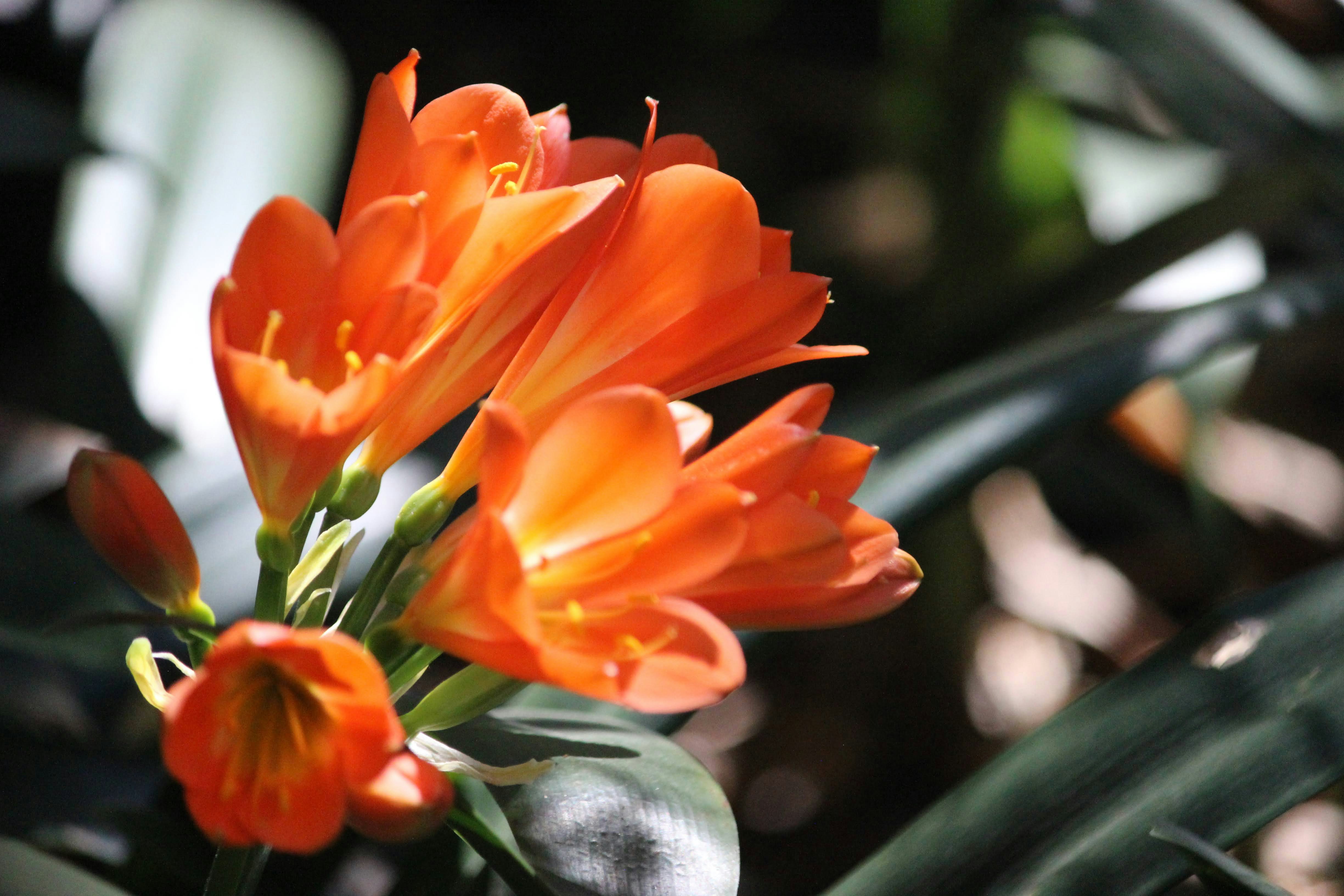 Photo by robynlouise