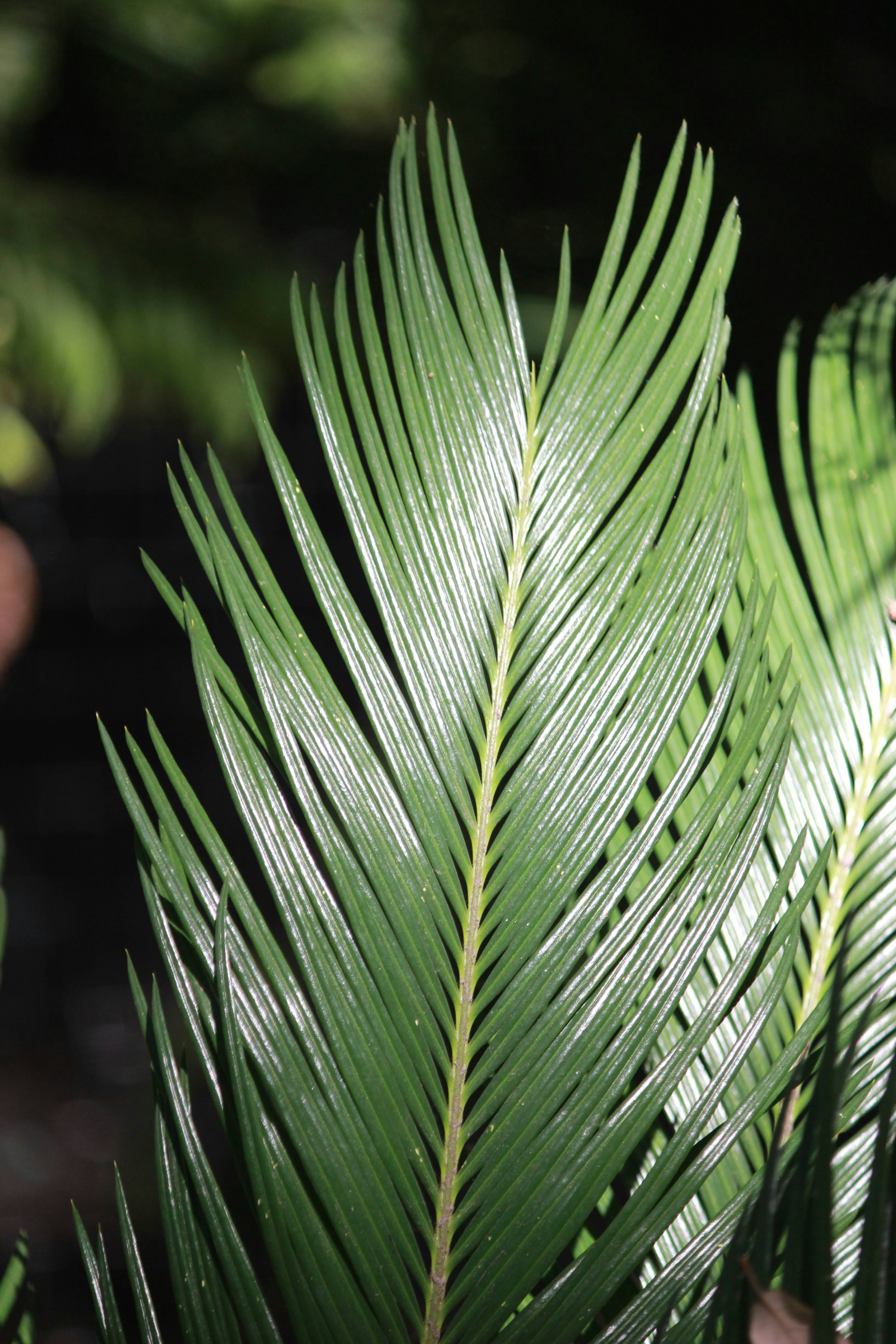 Photo by robynlouise