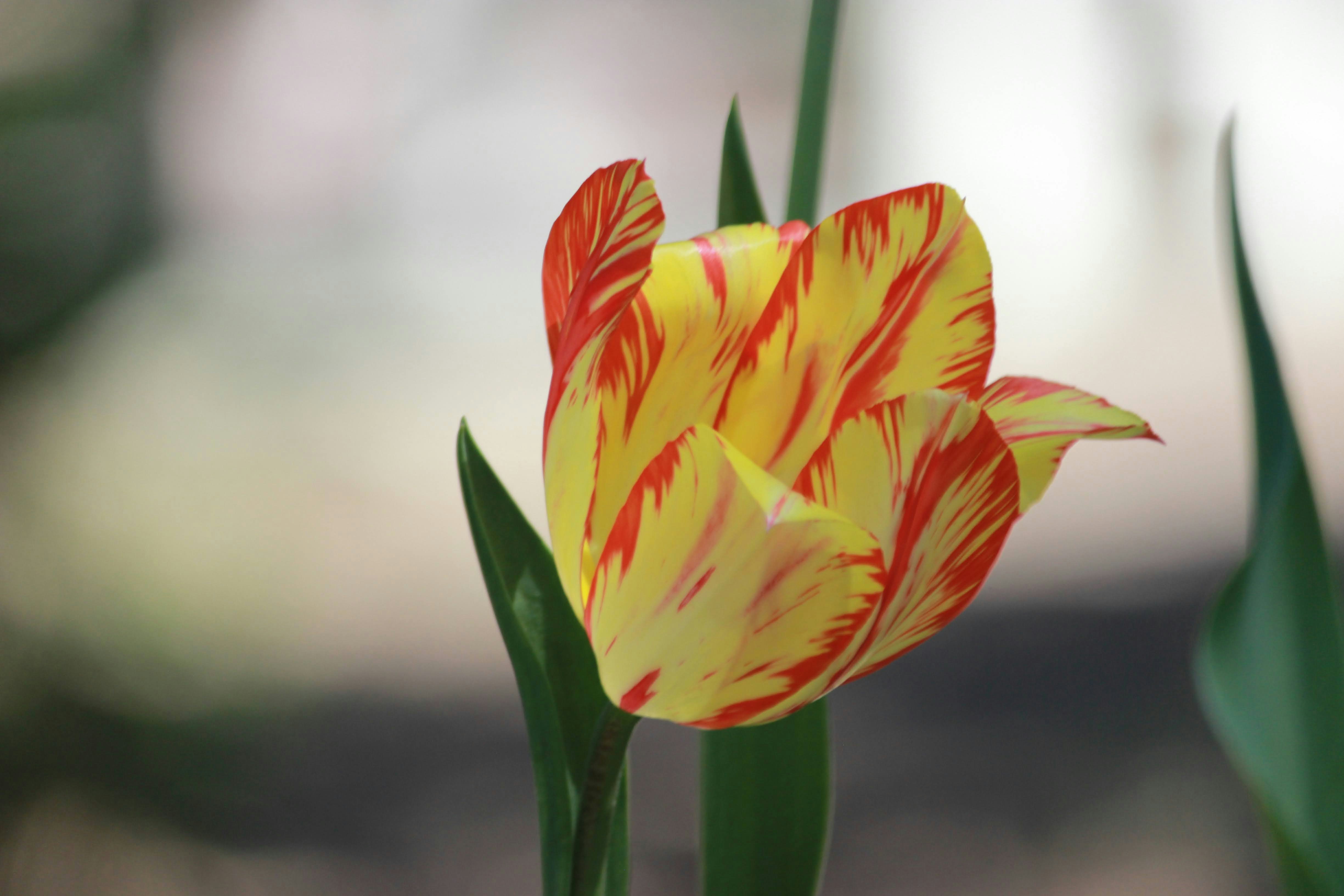 Photo by robynlouise