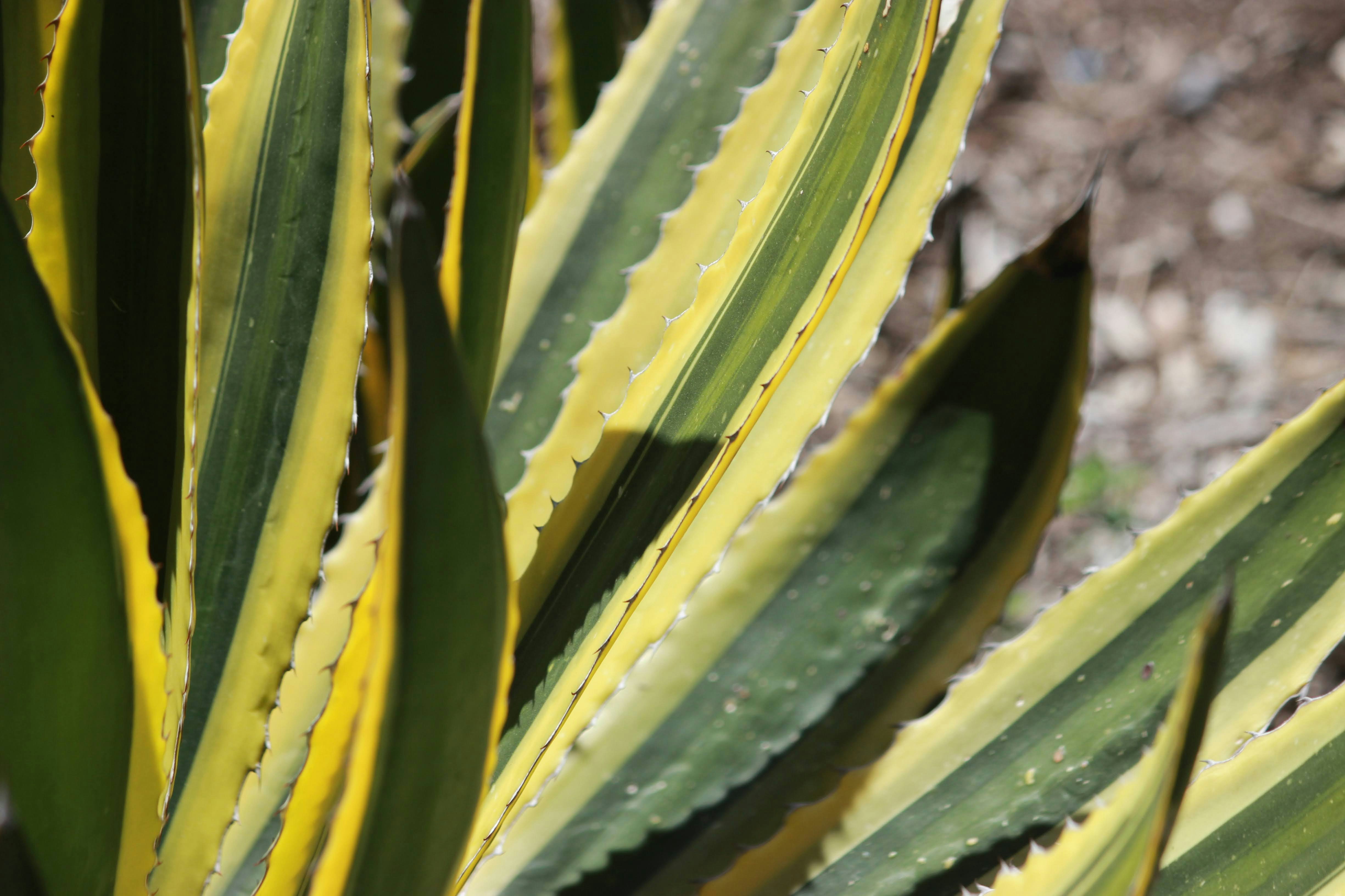 Photo by robynlouise