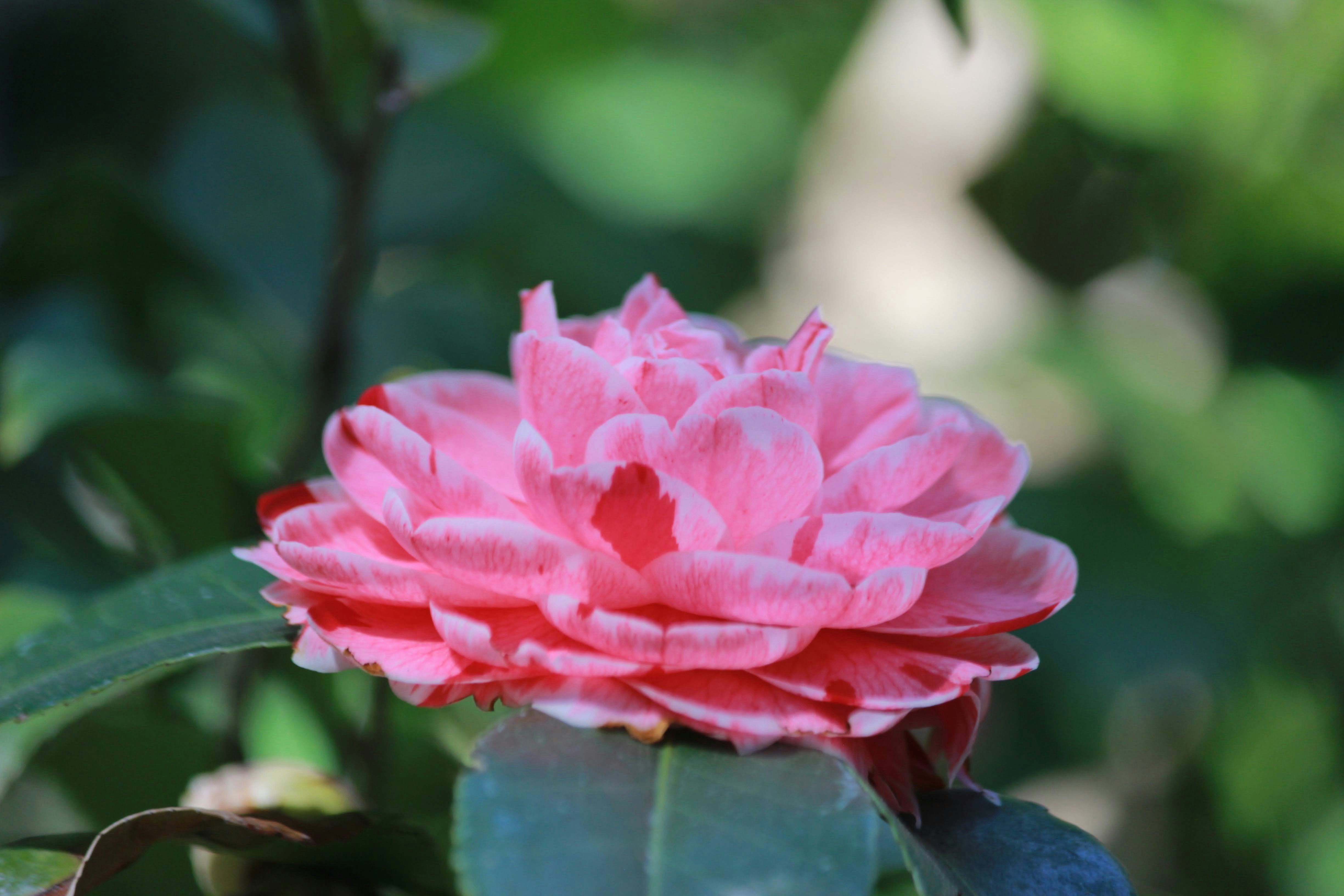 Photo by robynlouise