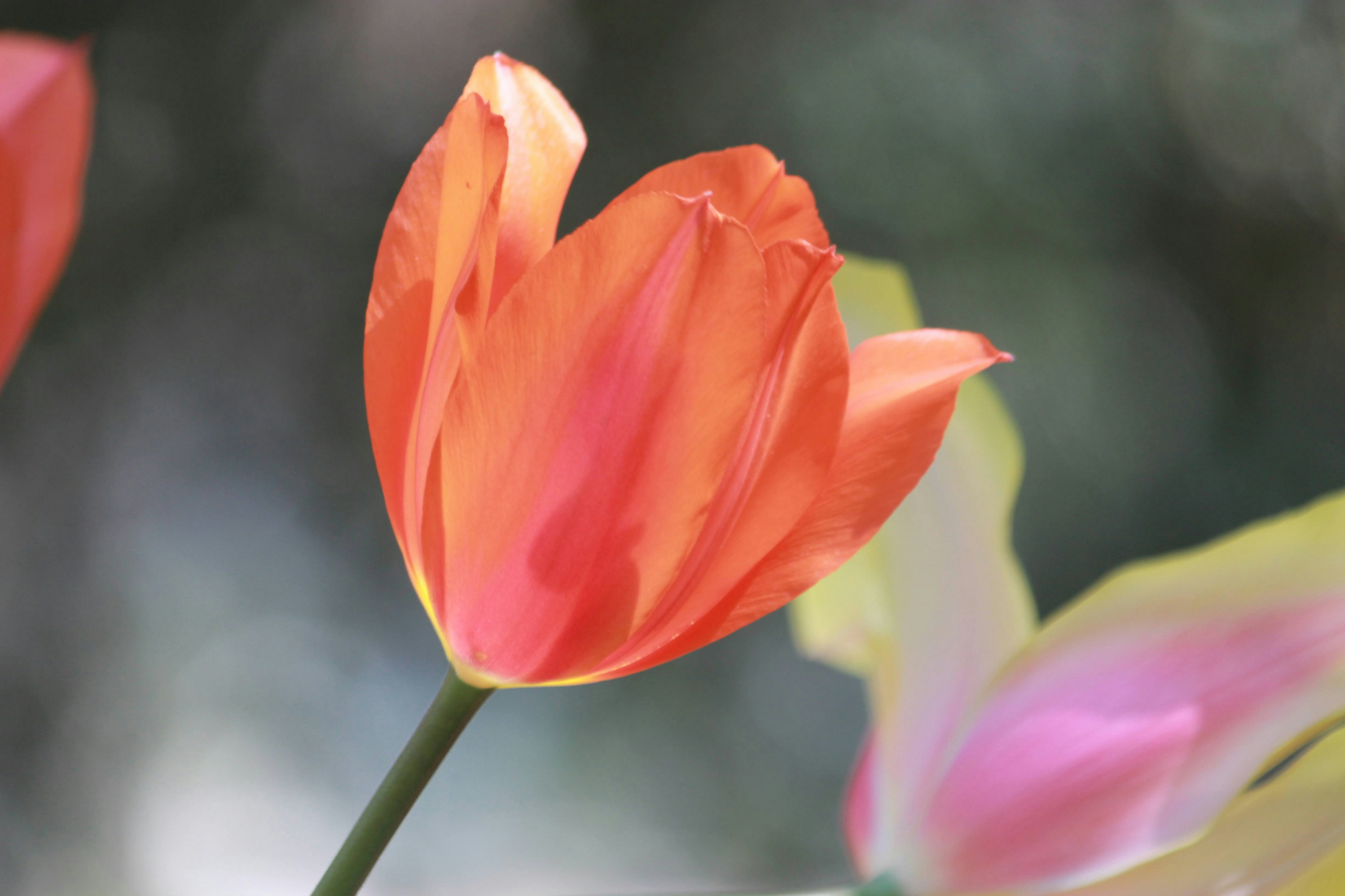 Photo by robynlouise