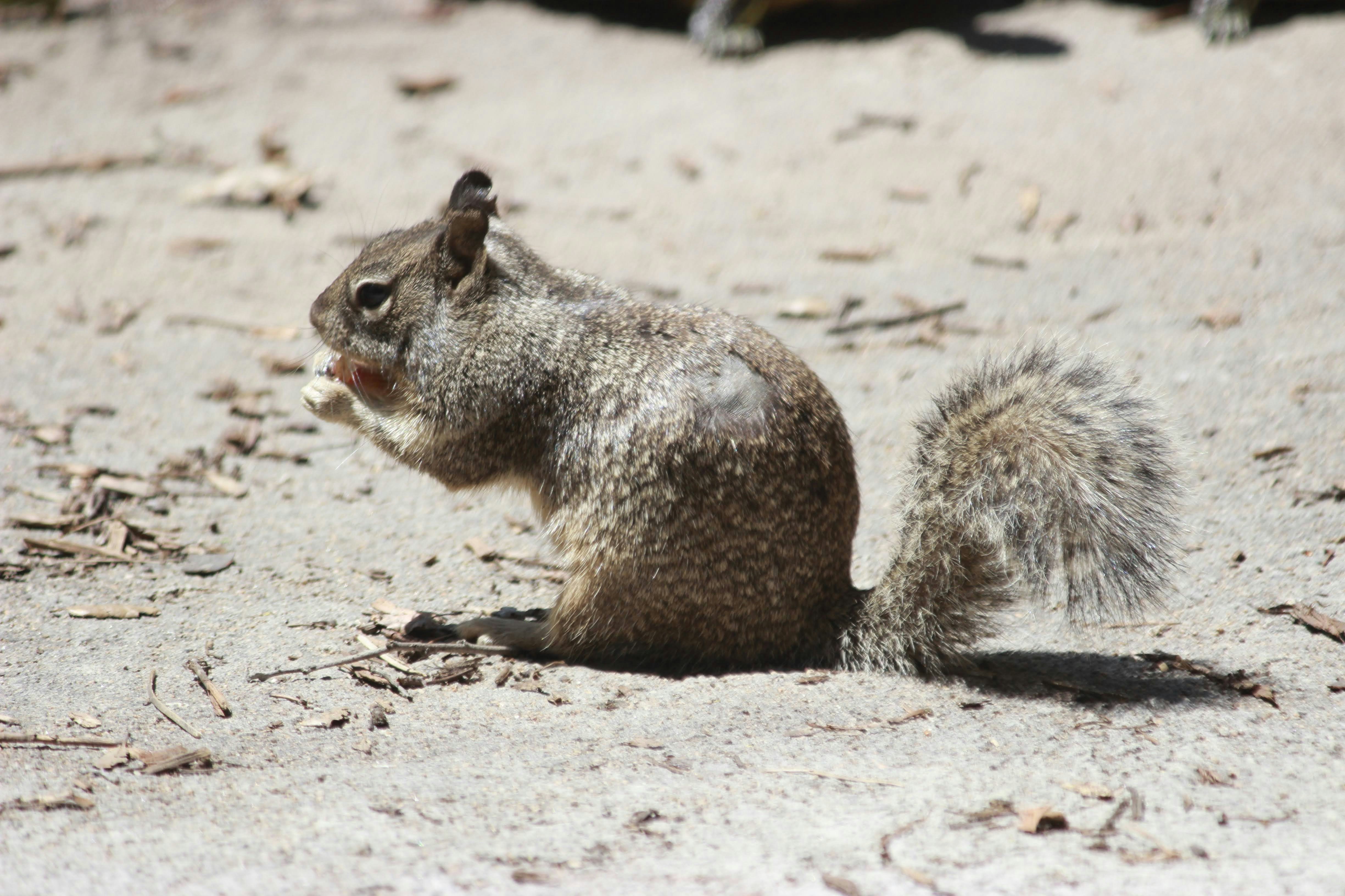 Photo by robynlouise