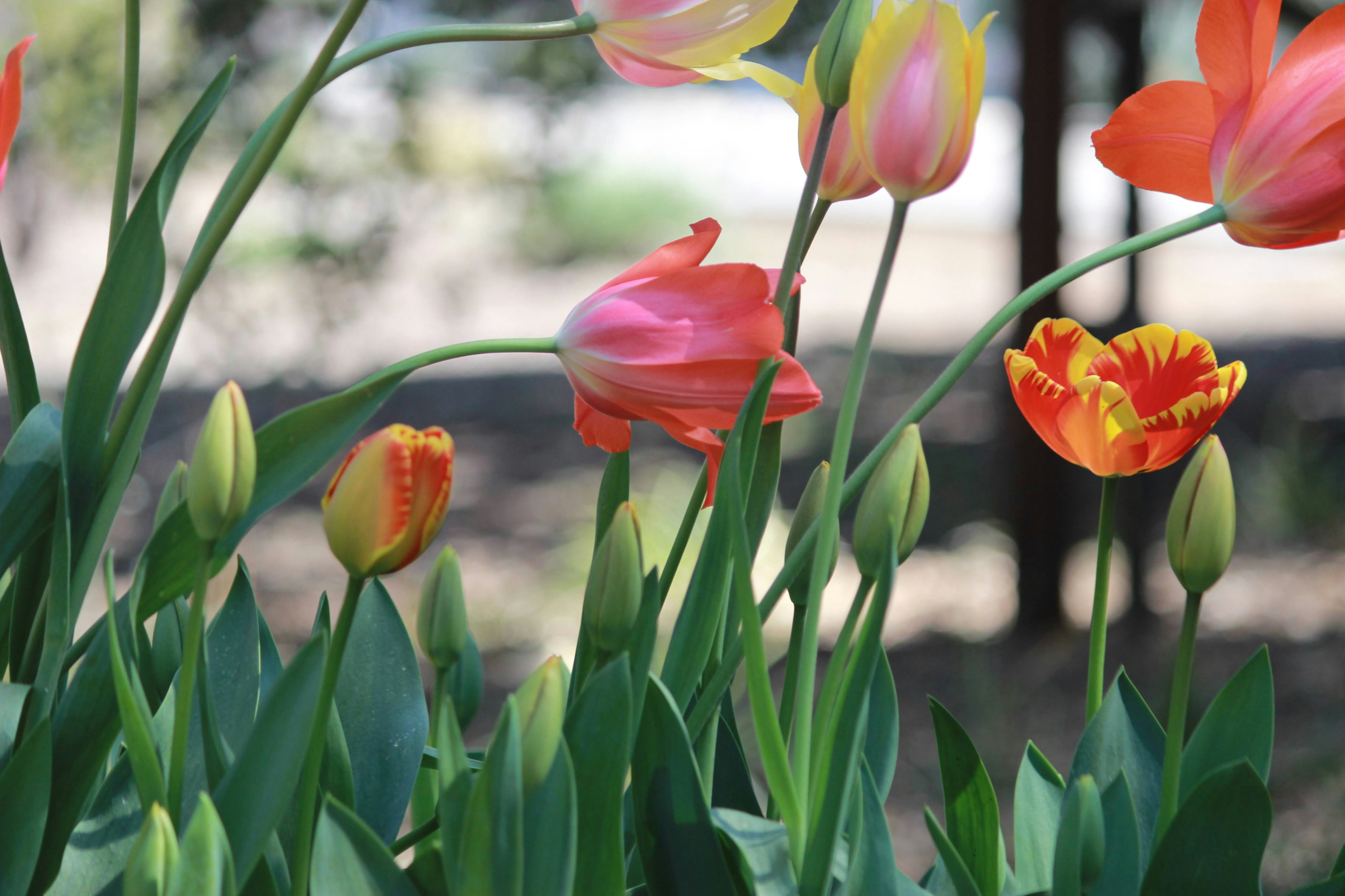 Photo by robynlouise