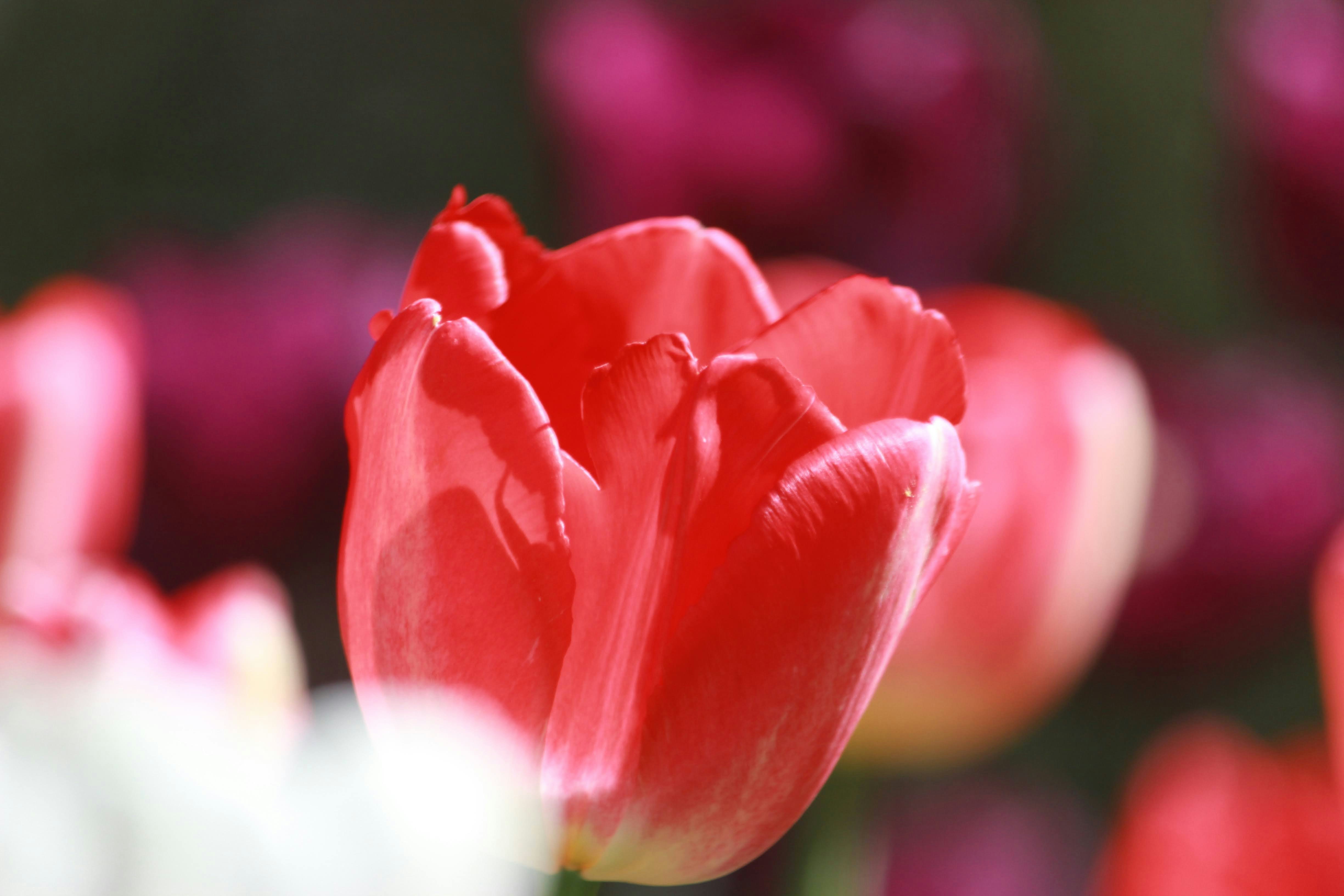 Photo by robynlouise