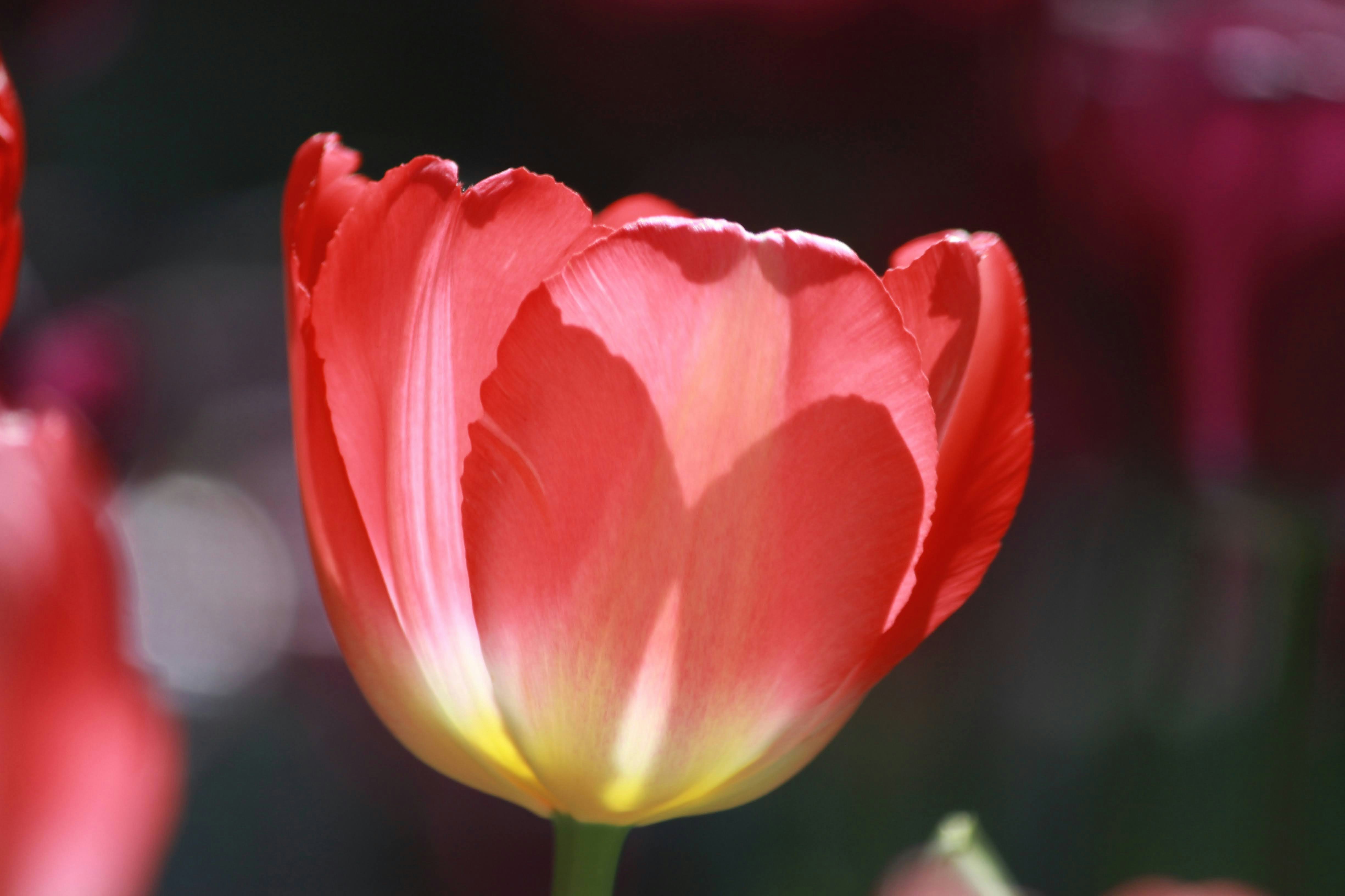 Photo by robynlouise