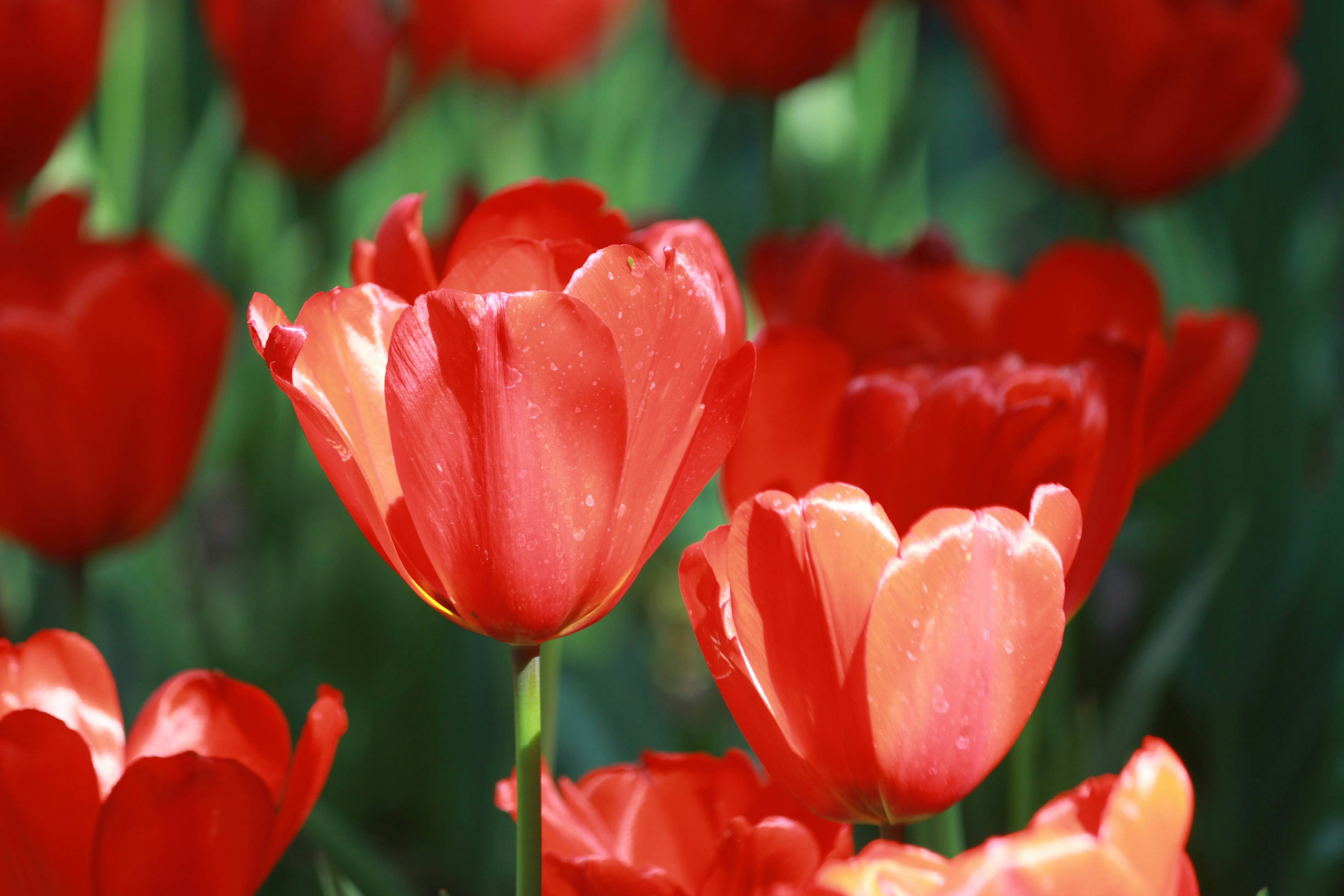 Photo by robynlouise