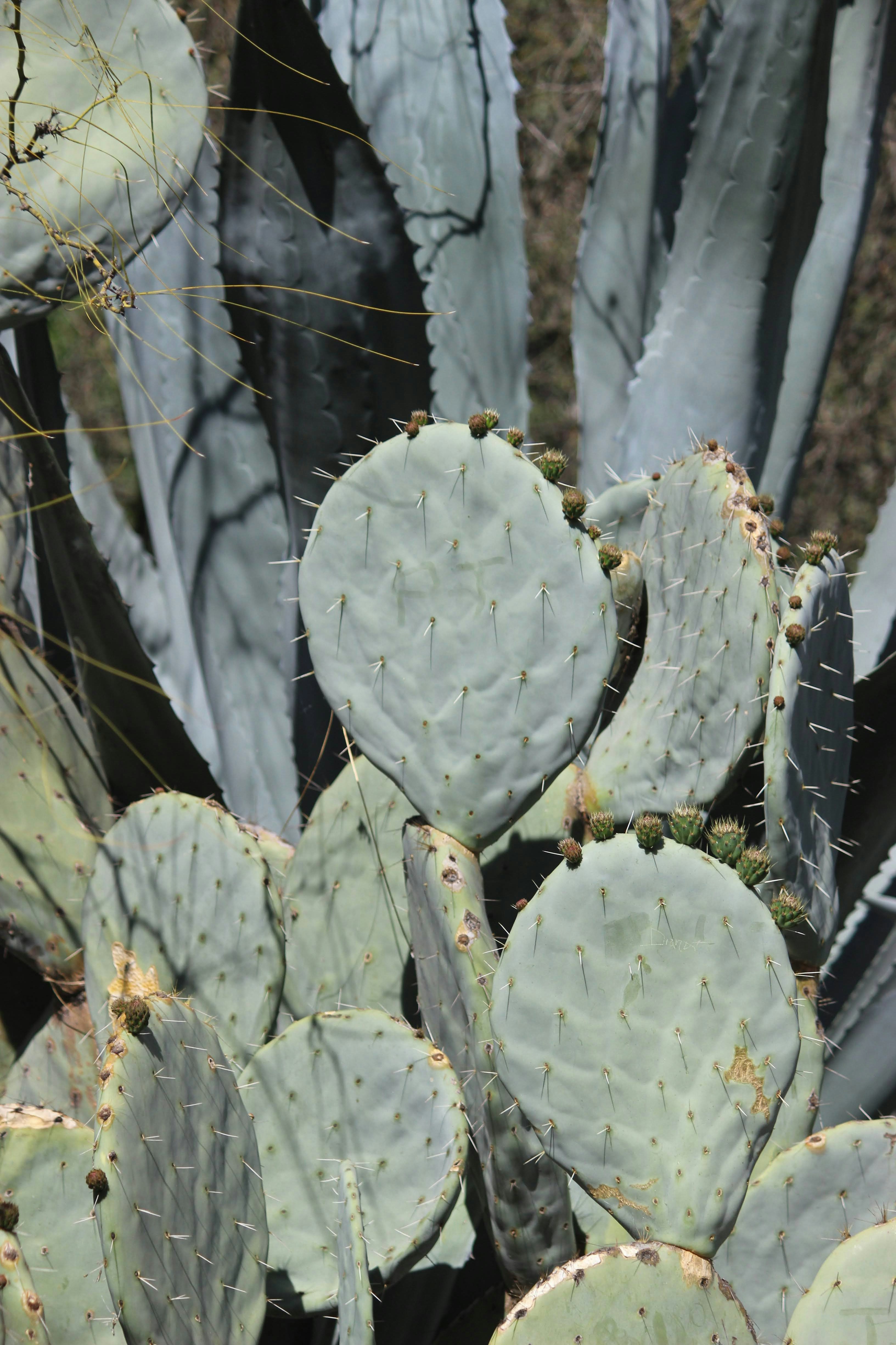 Photo by robynlouise