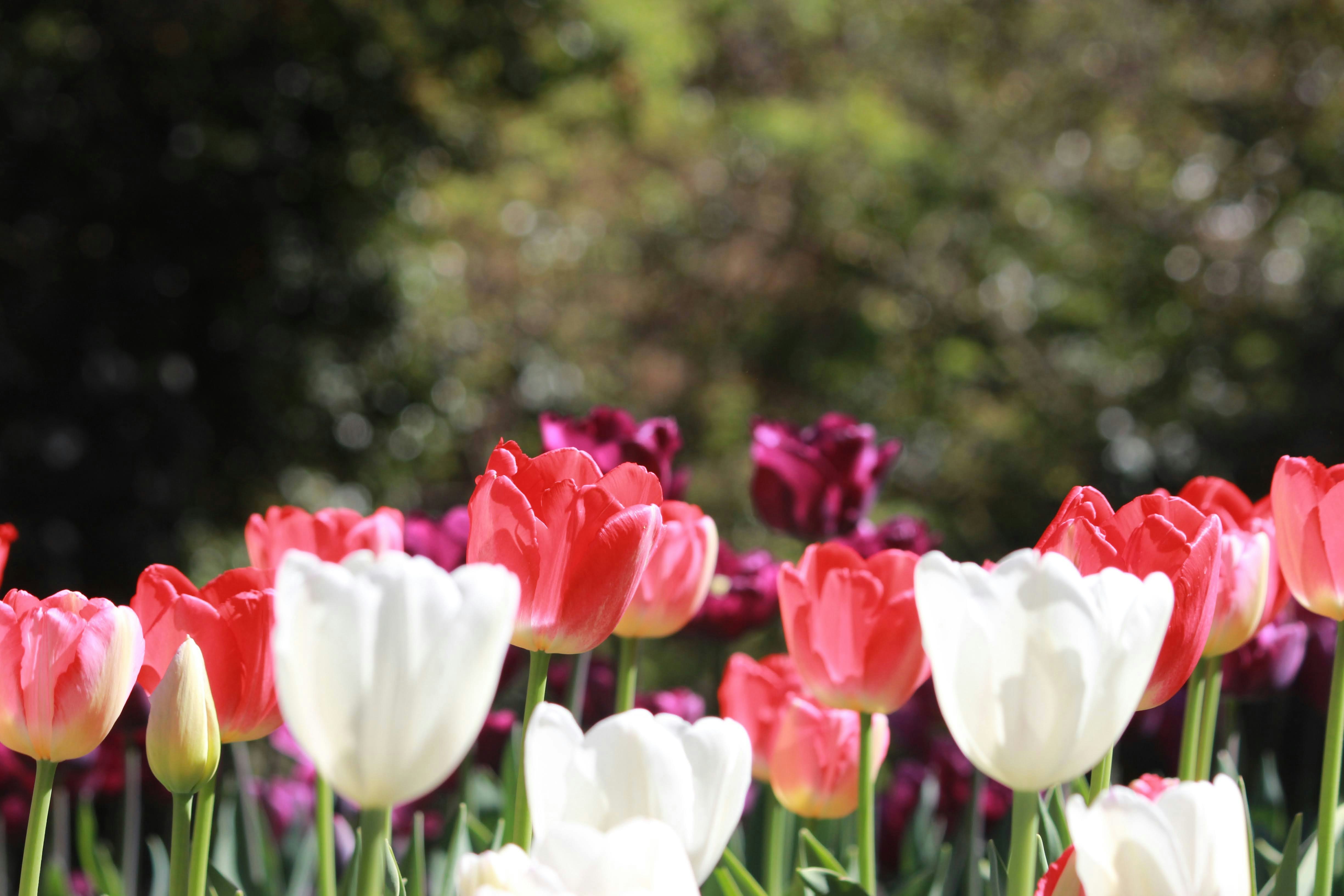 Photo by robynlouise