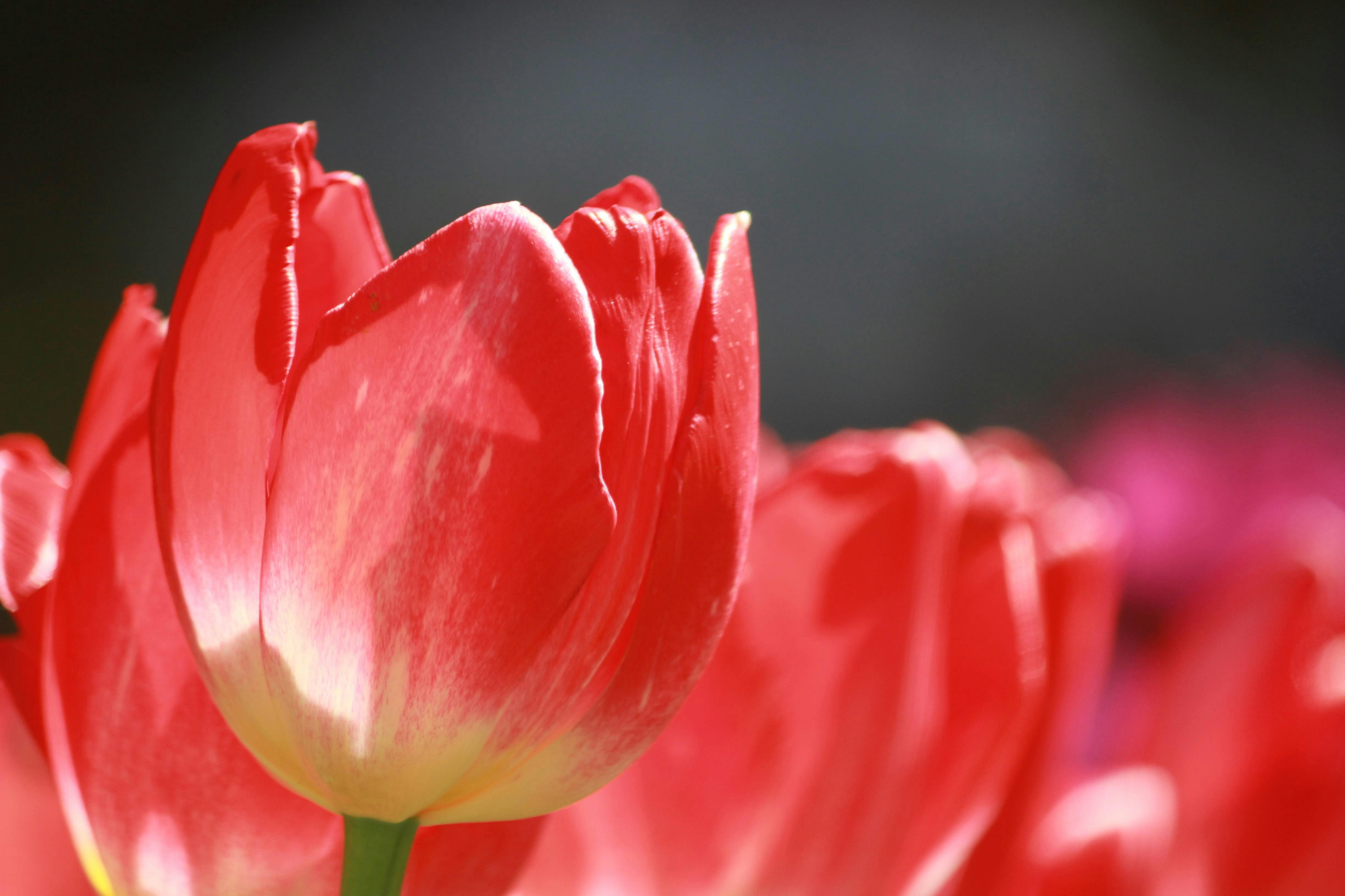 Photo by robynlouise