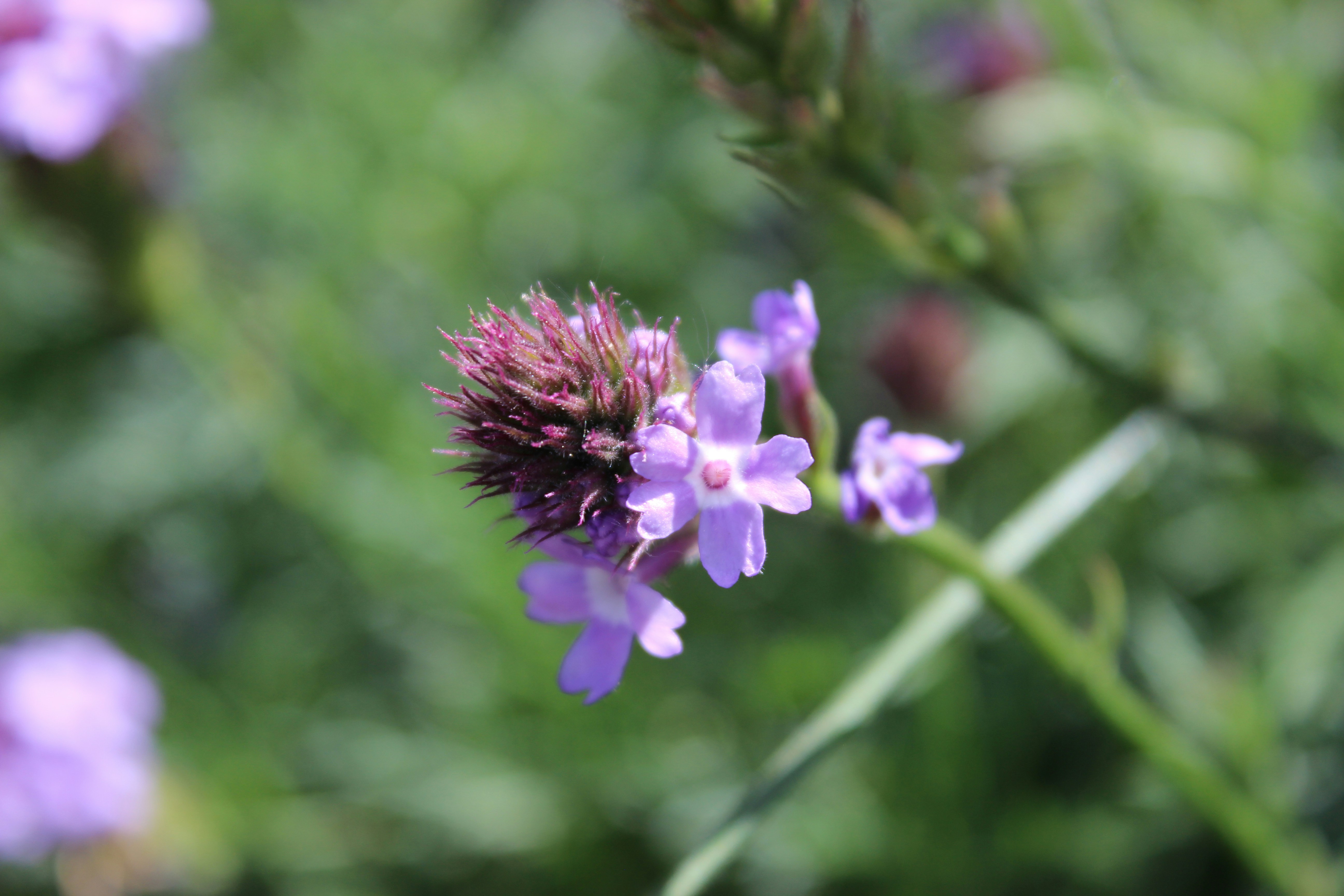 Photo by robynlouise