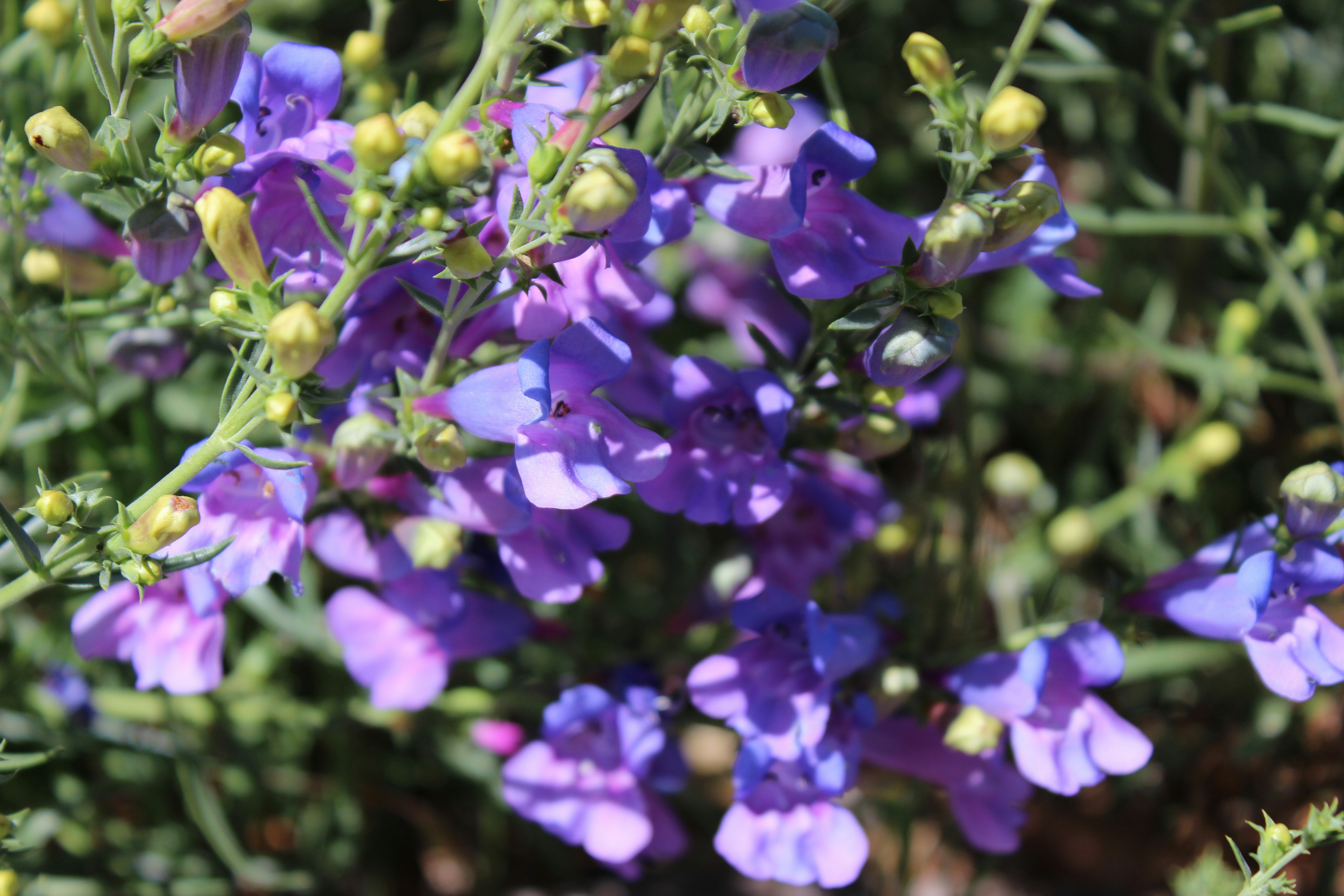 Photo by robynlouise