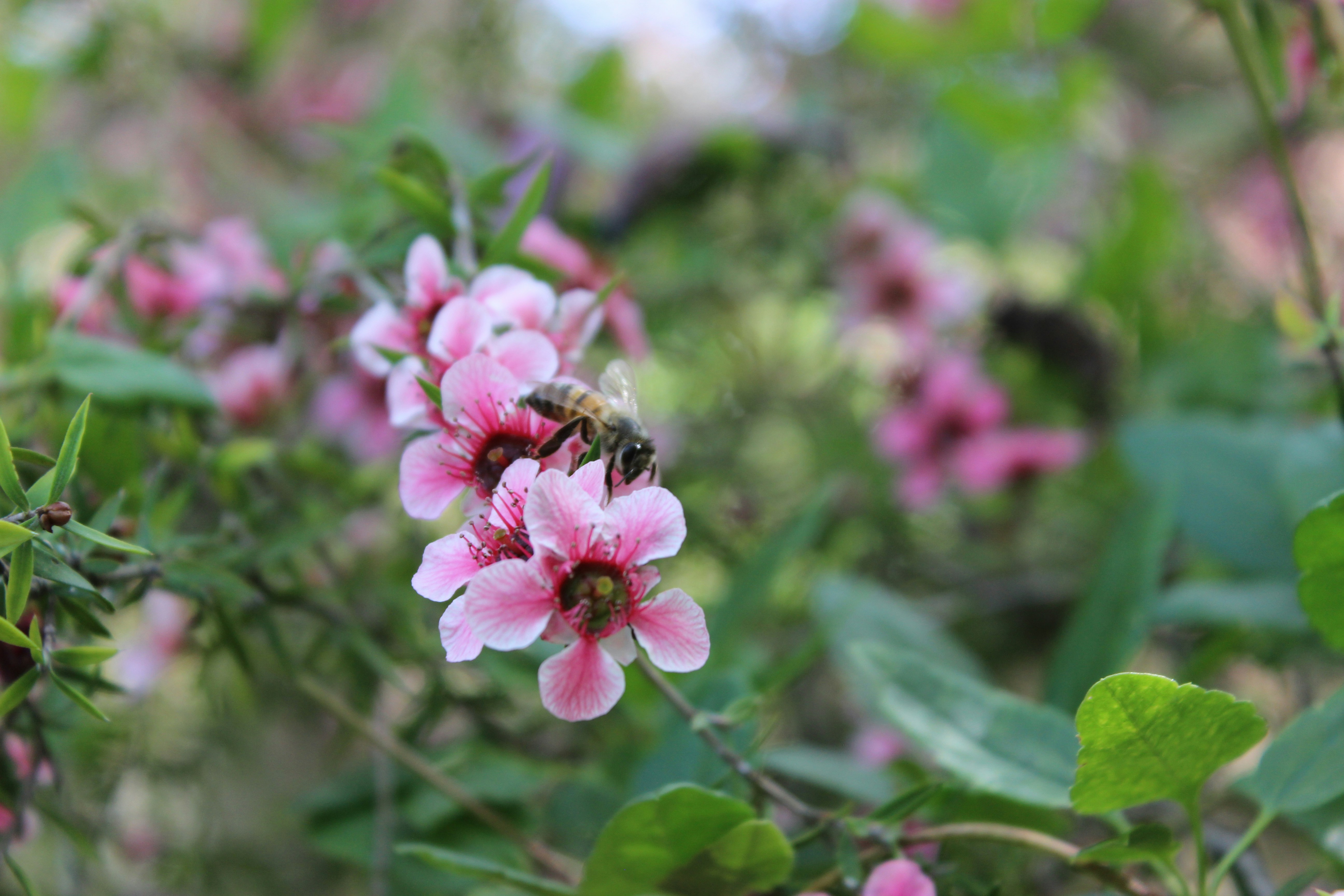 Photo by robynlouise