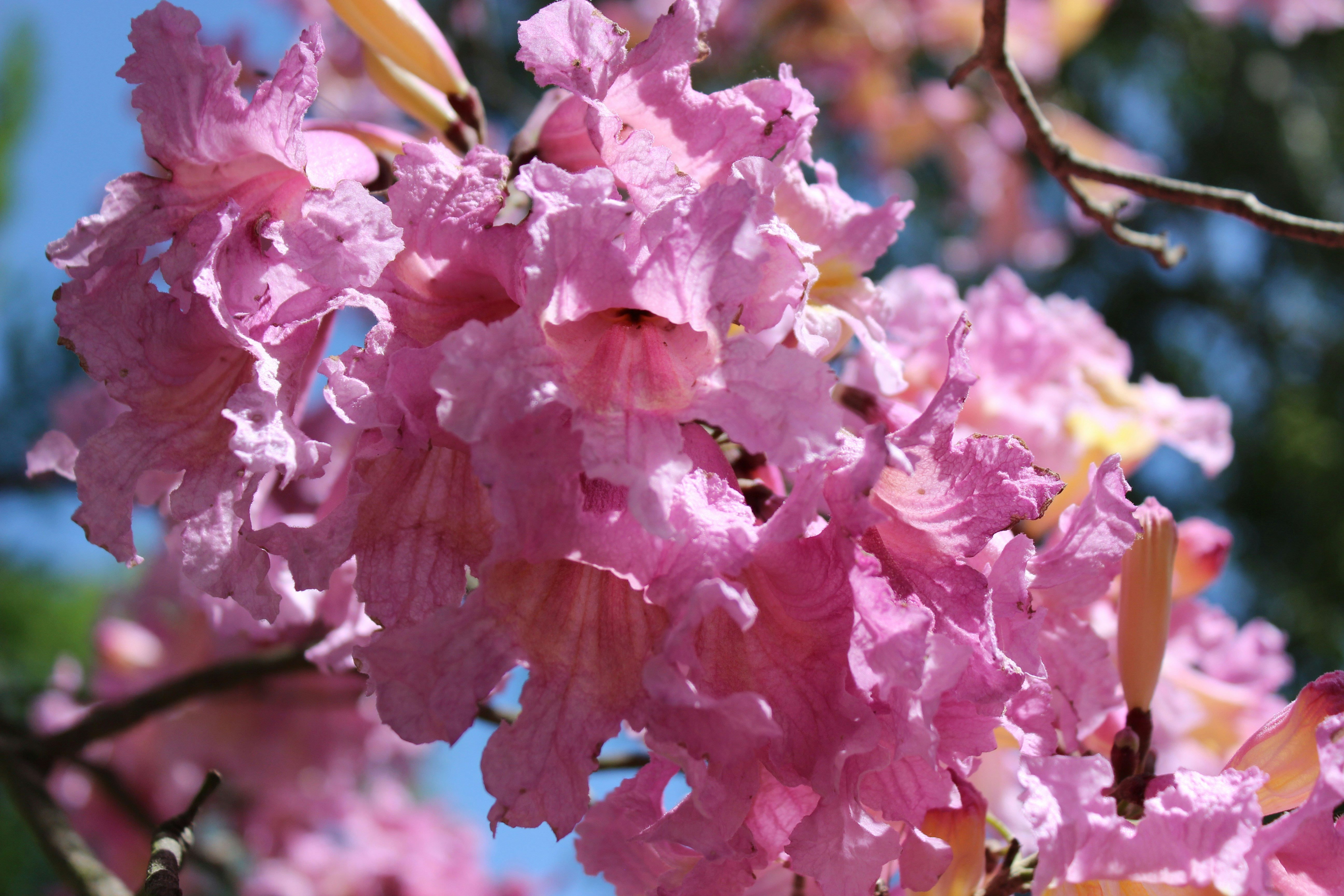 Photo by robynlouise