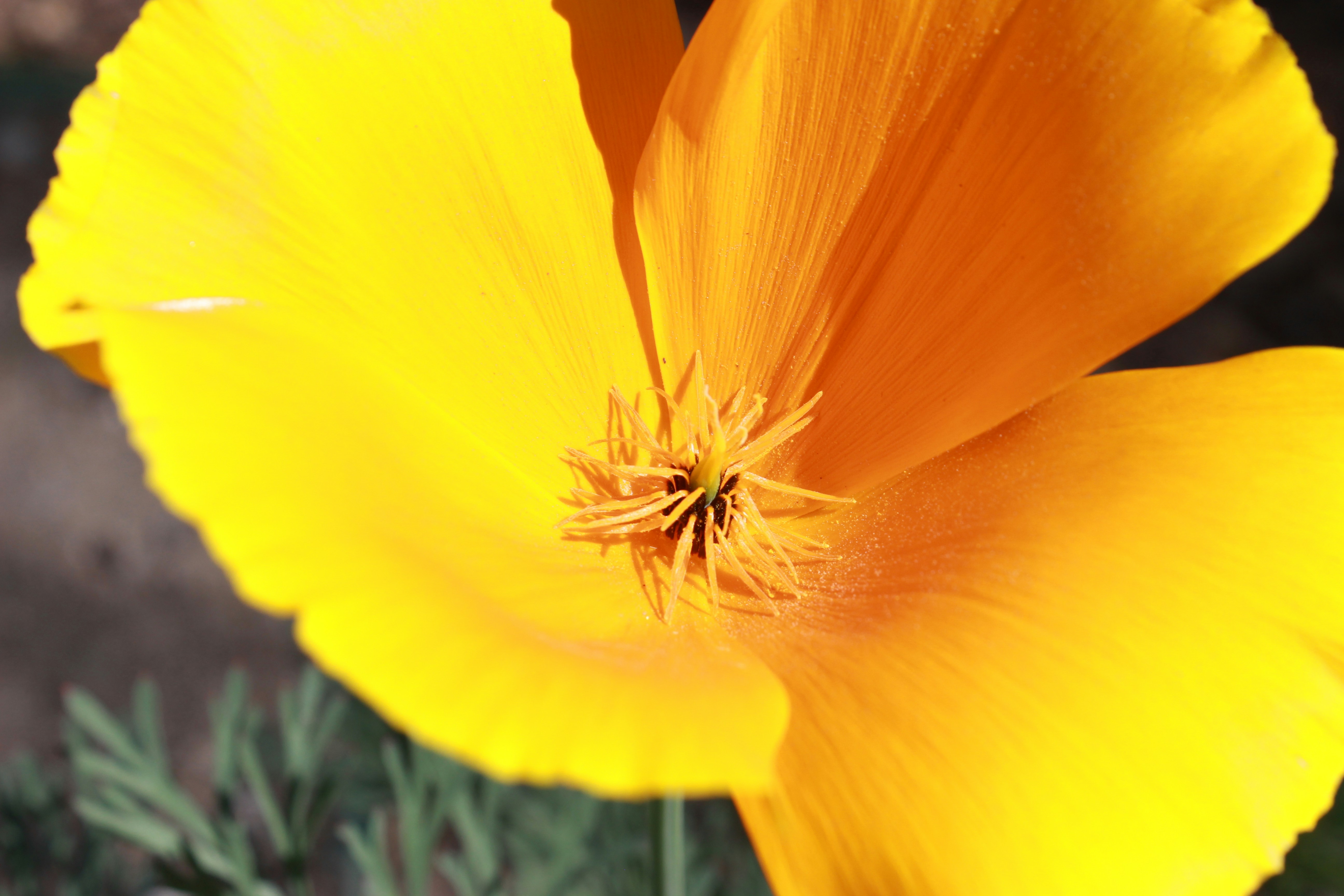 Photo by robynlouise