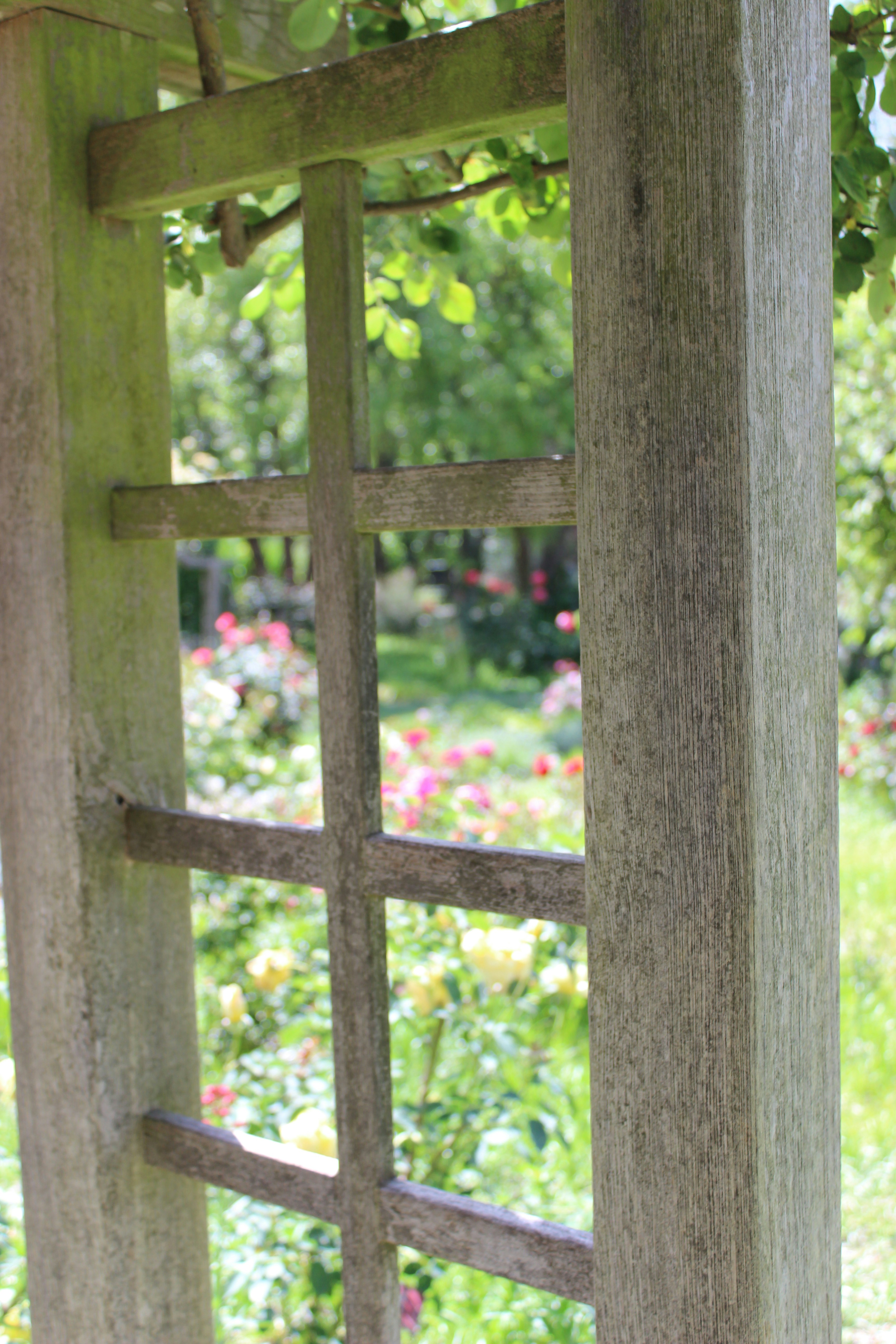 Photo by robynlouise