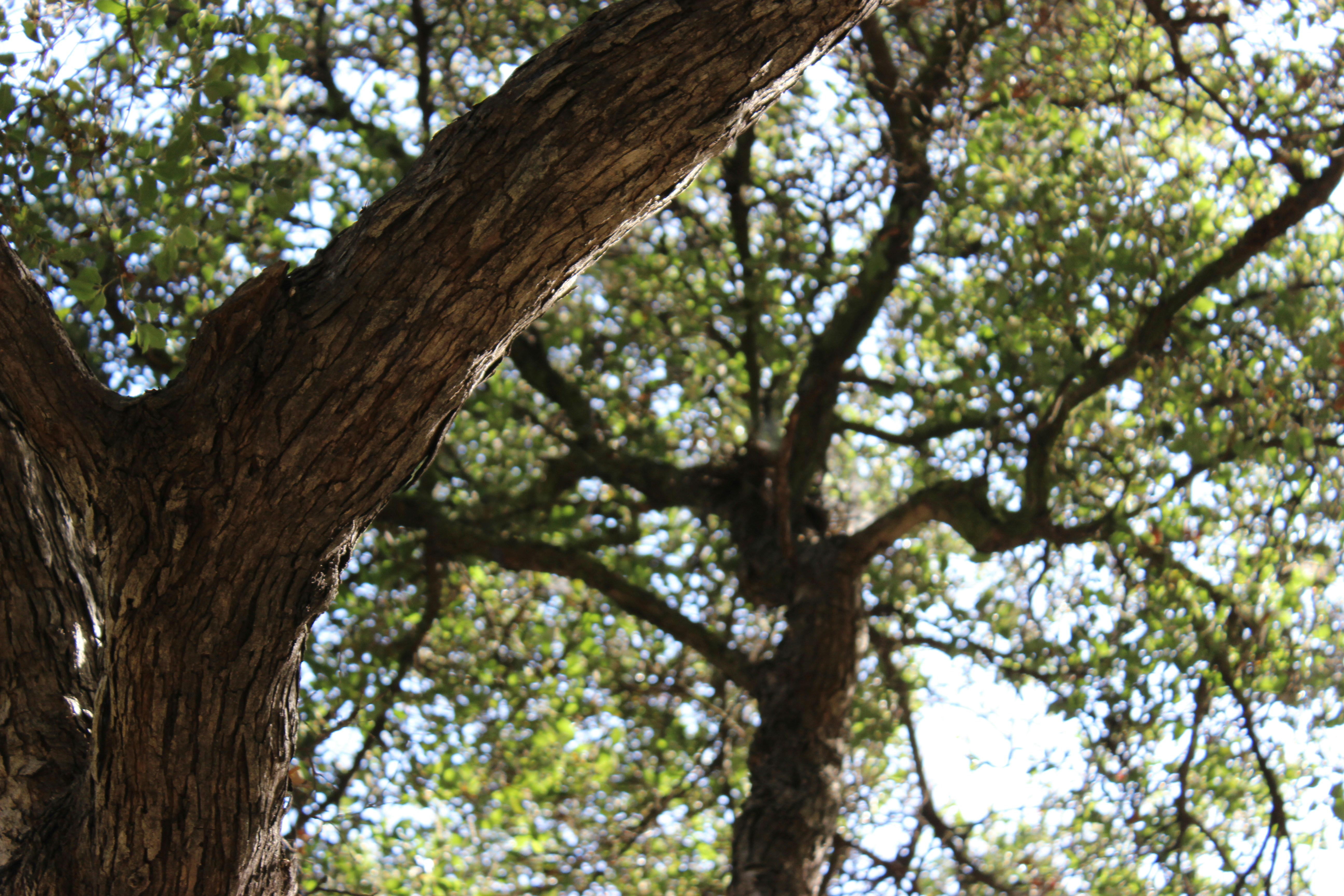 Photo by robynlouise