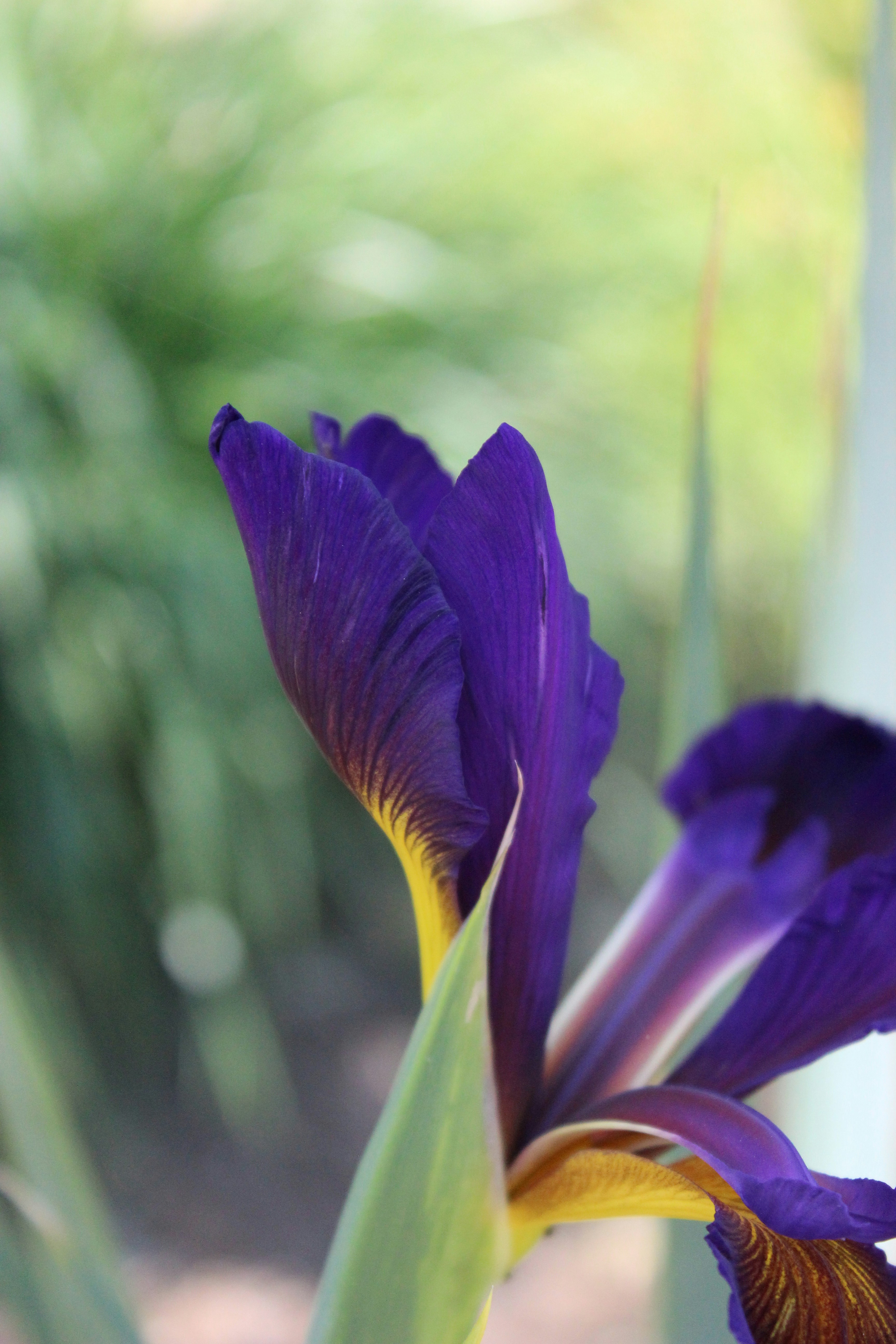 Photo by robynlouise