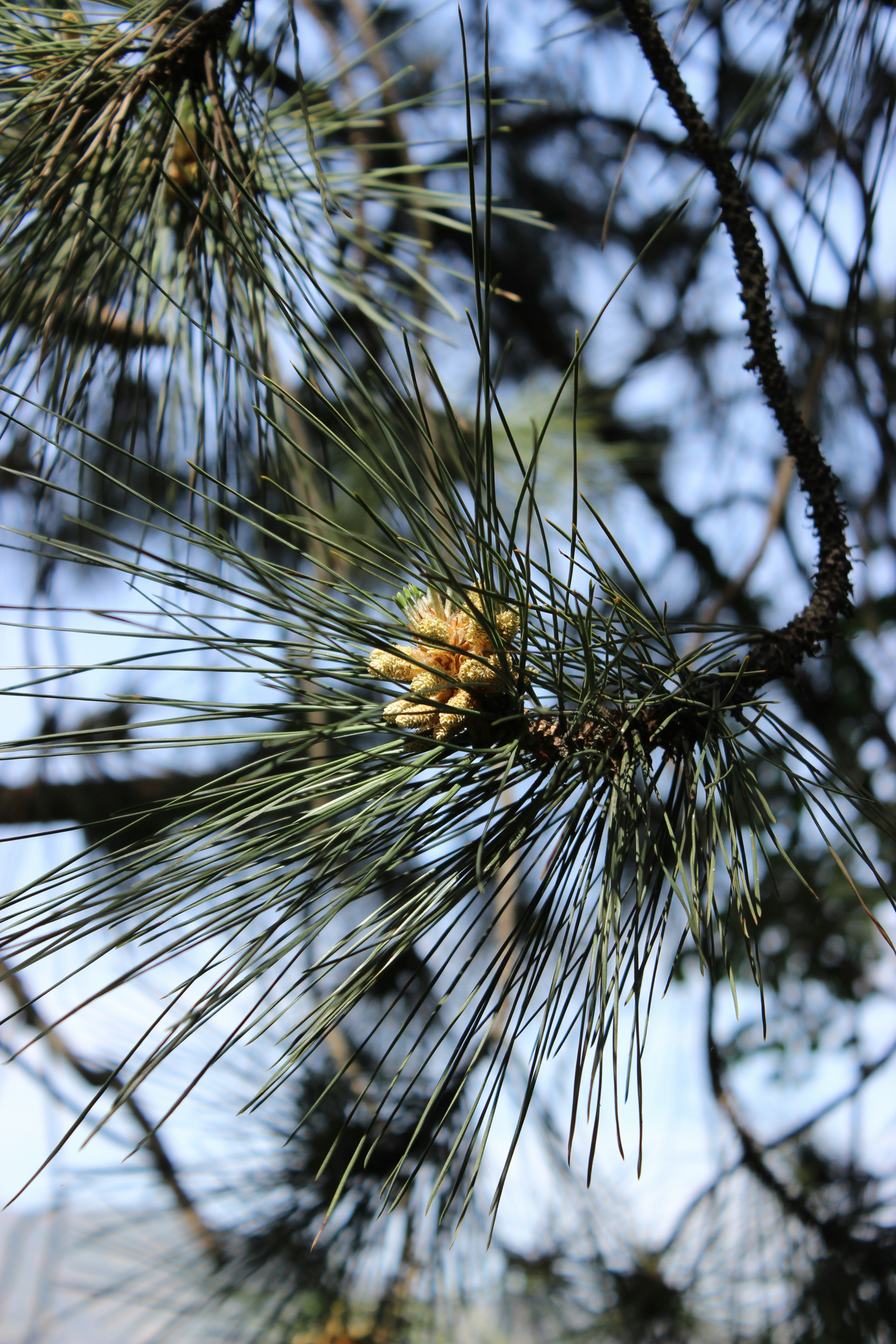 Photo by robynlouise