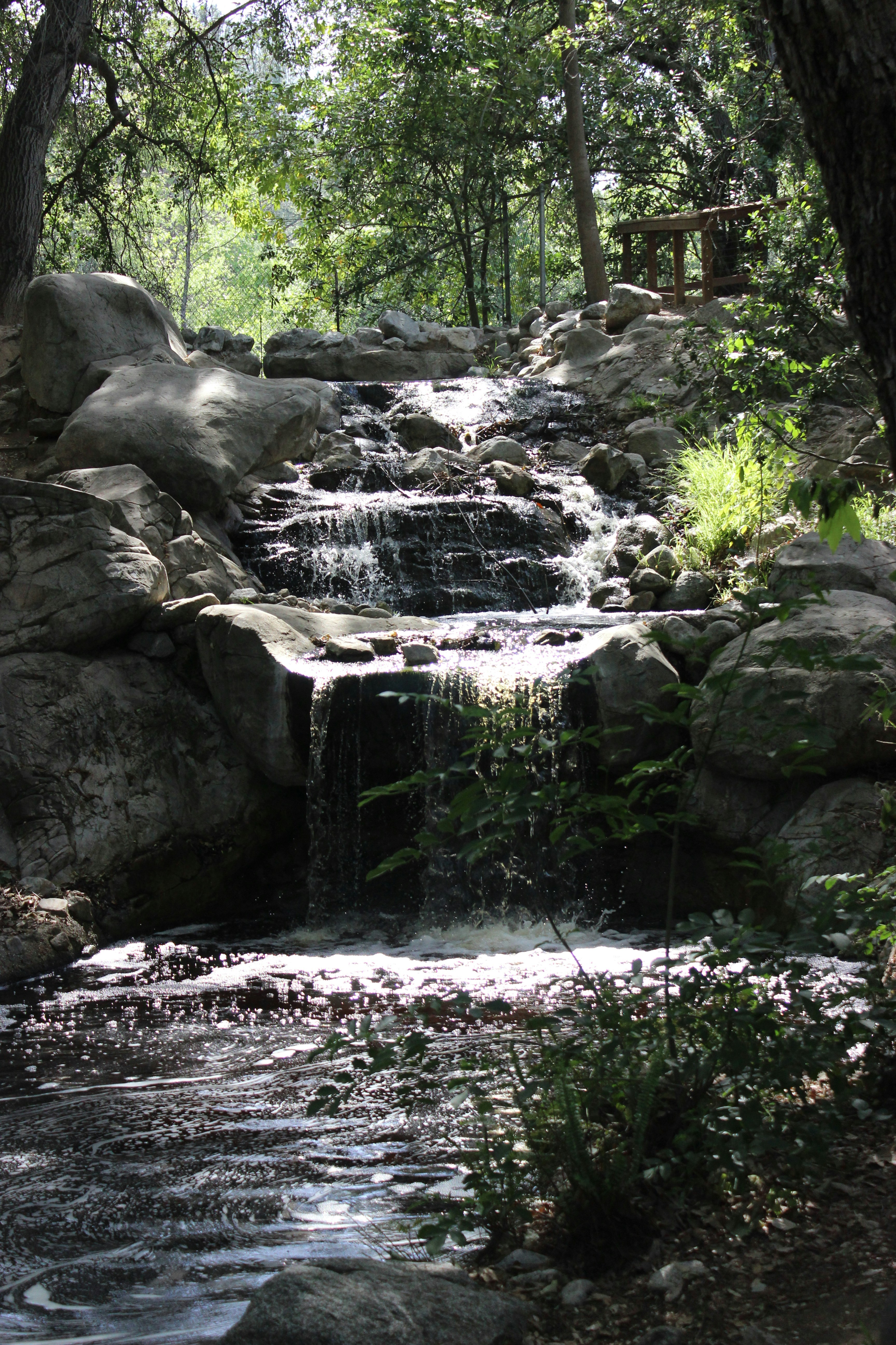 Photo by robynlouise