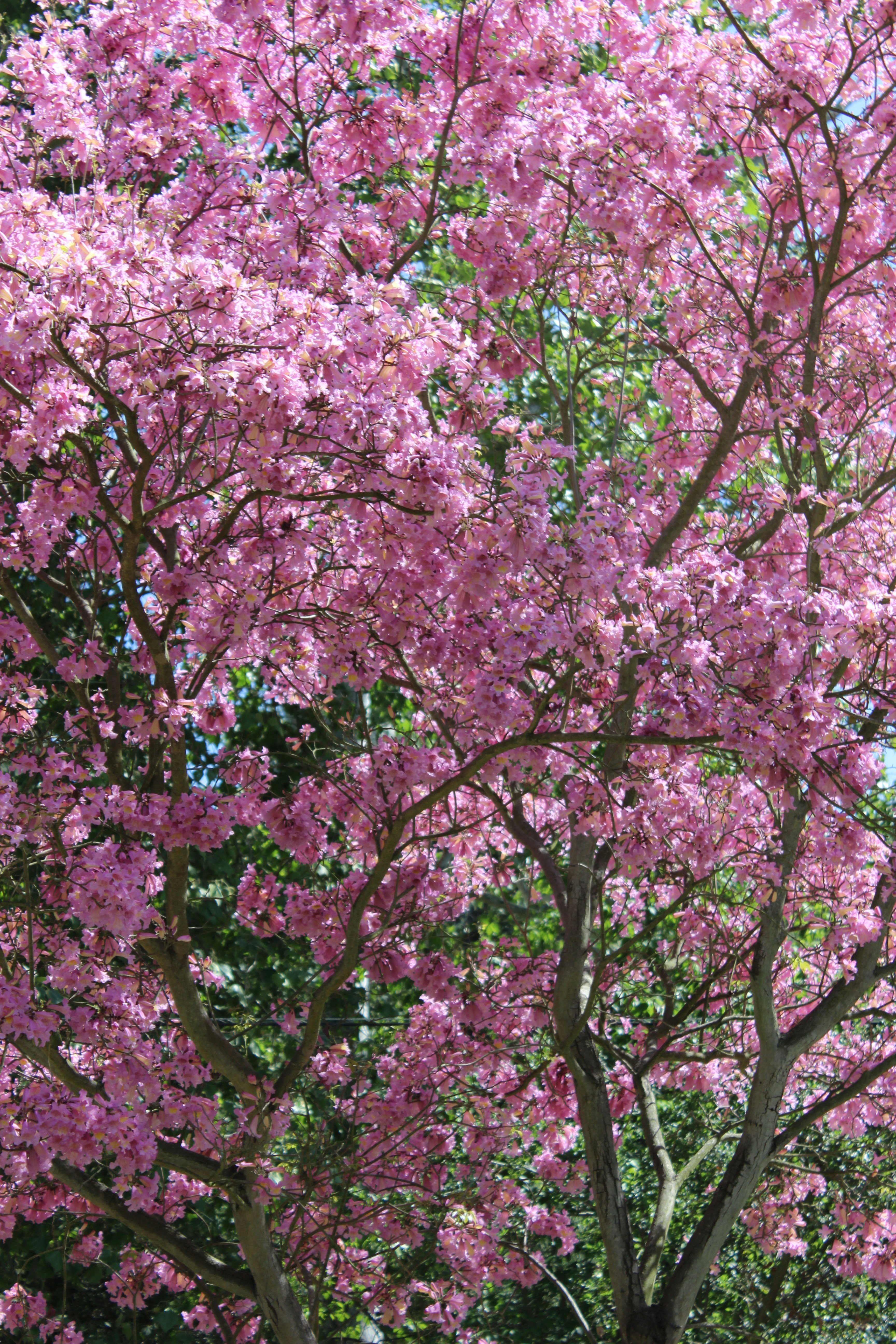 Photo by robynlouise