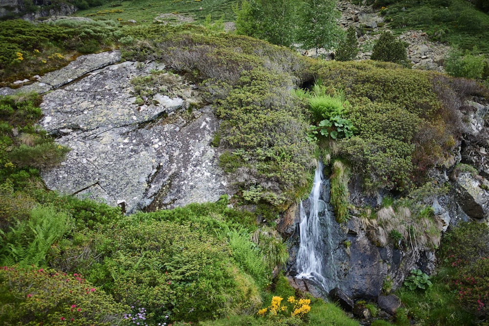 a small waterfall in the middle of a lush green hillside