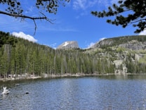 A serene mountain lake surrounded by dense evergreen forests with a clear blue sky overhead. The water is calm, reflecting the greenery of the pine trees lining the shore. In the background, a prominent mountain peak rises, partially covered with snow.