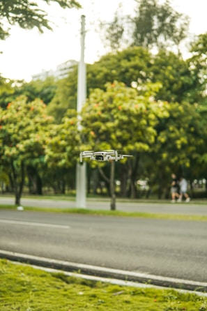 An outdoor photo of a drone flying over a scenic park.