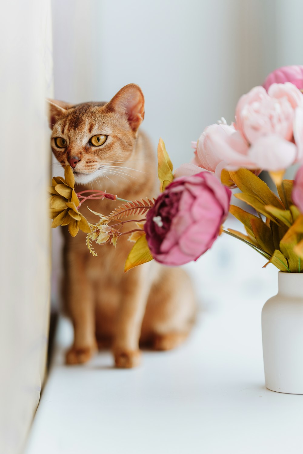 a cat standing next to a vase of flowers